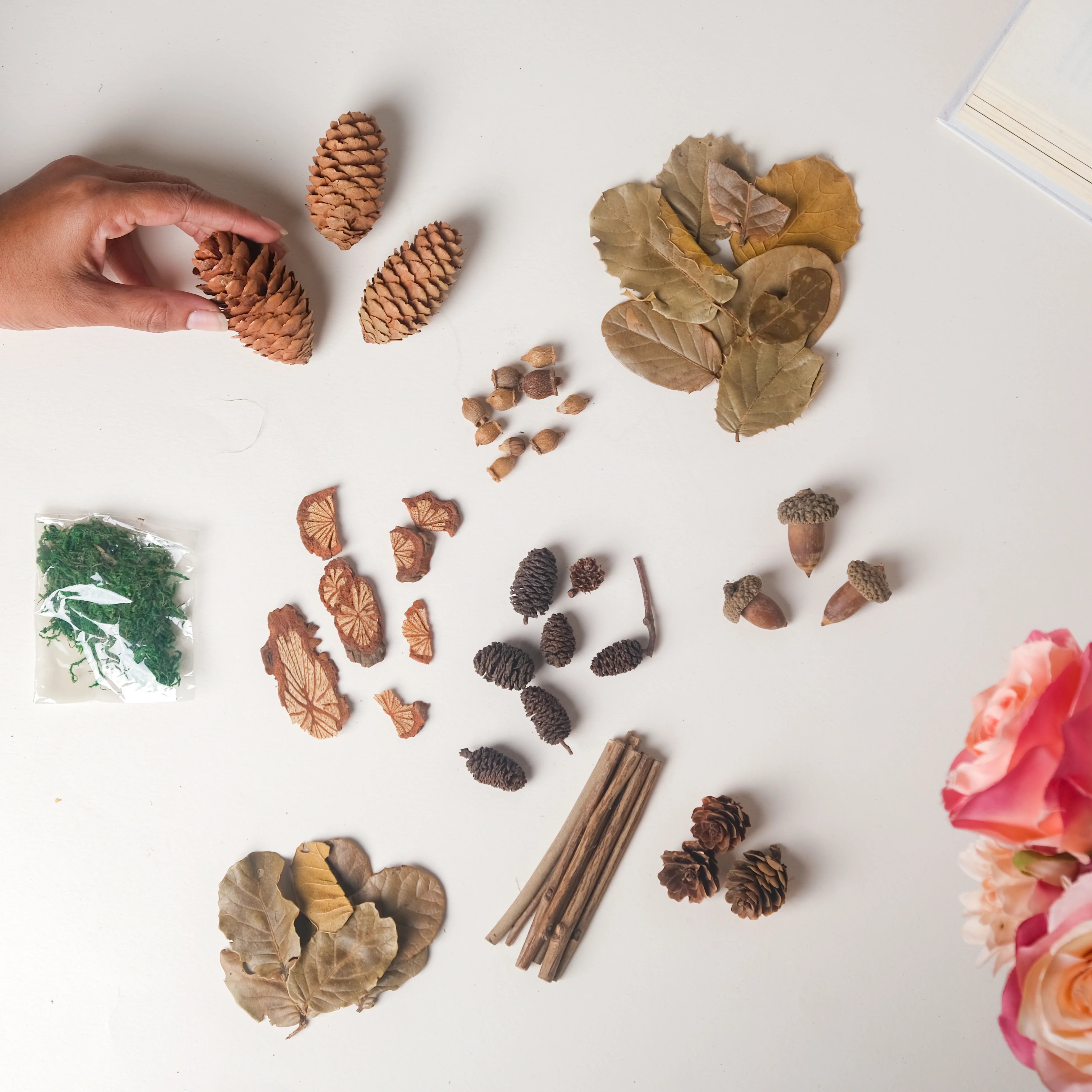 Natural Dried Flowers - Image 3