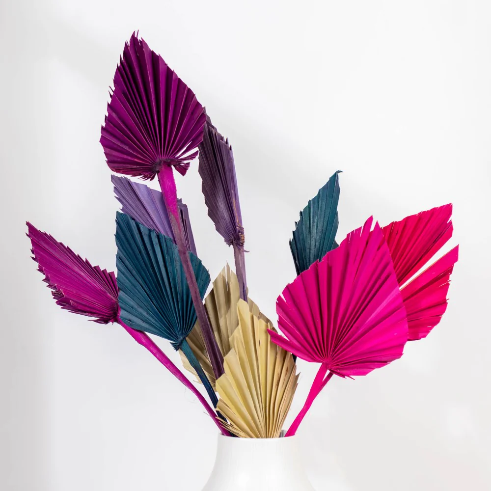 Natural Dried Palm Leaf Bunch 10 Sticks Multicolored - Image 4