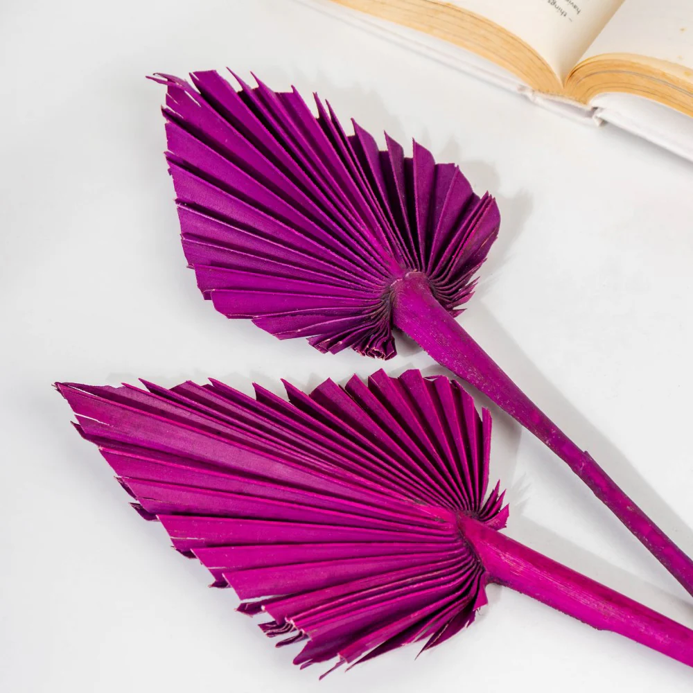 Natural Dried Palm Leaf Bunch 10 Sticks Multicolored - Image 5