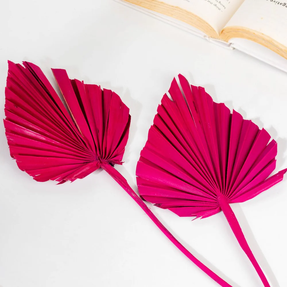 Natural Dried Palm Leaf Bunch 10 Sticks Multicolored - Image 6
