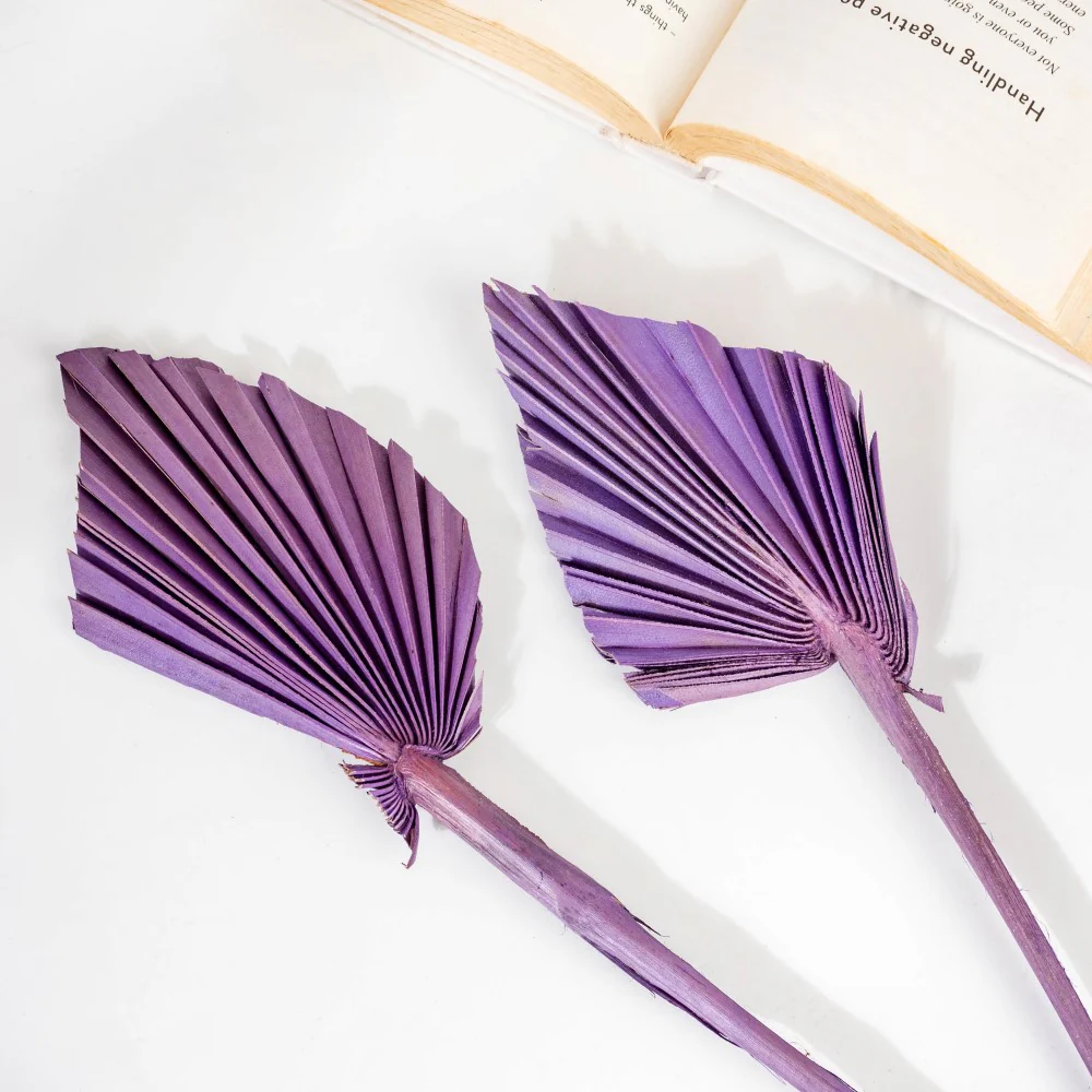 Natural Dried Palm Leaf Bunch 10 Sticks Multicolored - Image 8