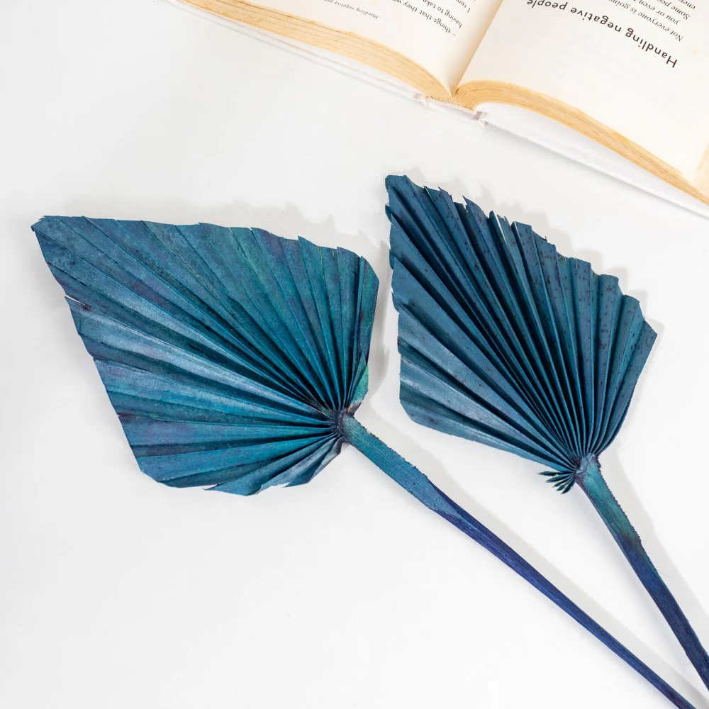 Natural Dried Palm Leaf Bunch 10 Sticks Multicolored - Image 9