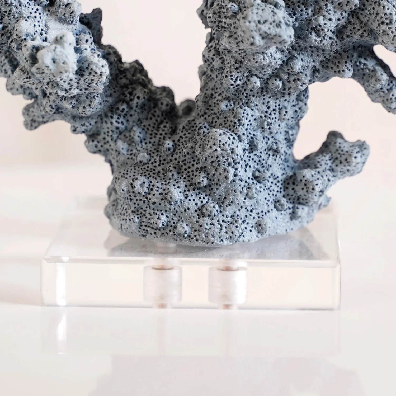 Nautical Coral Decor - Image 7