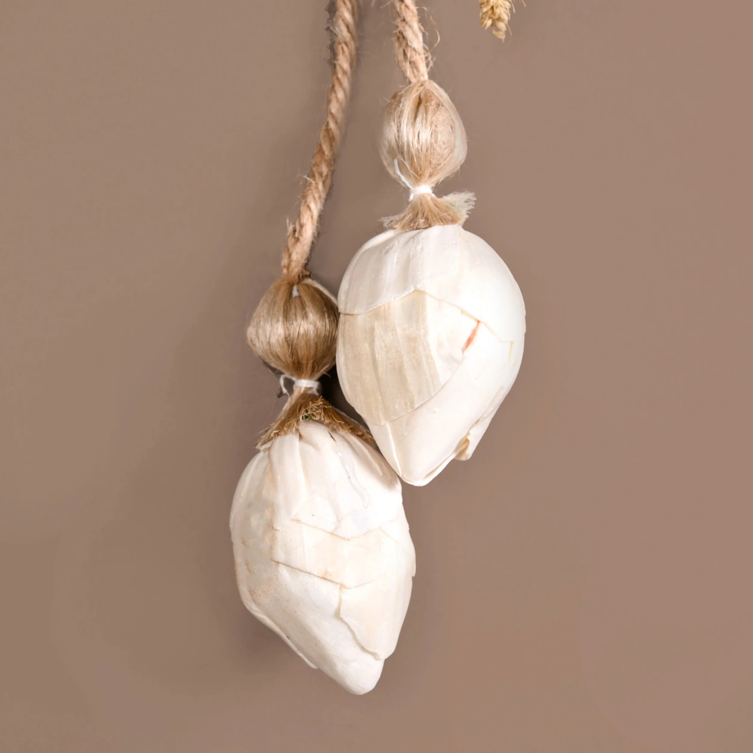 Organic Luxe Bloom Festive Wall Hanging Set Of 2 - Image 5