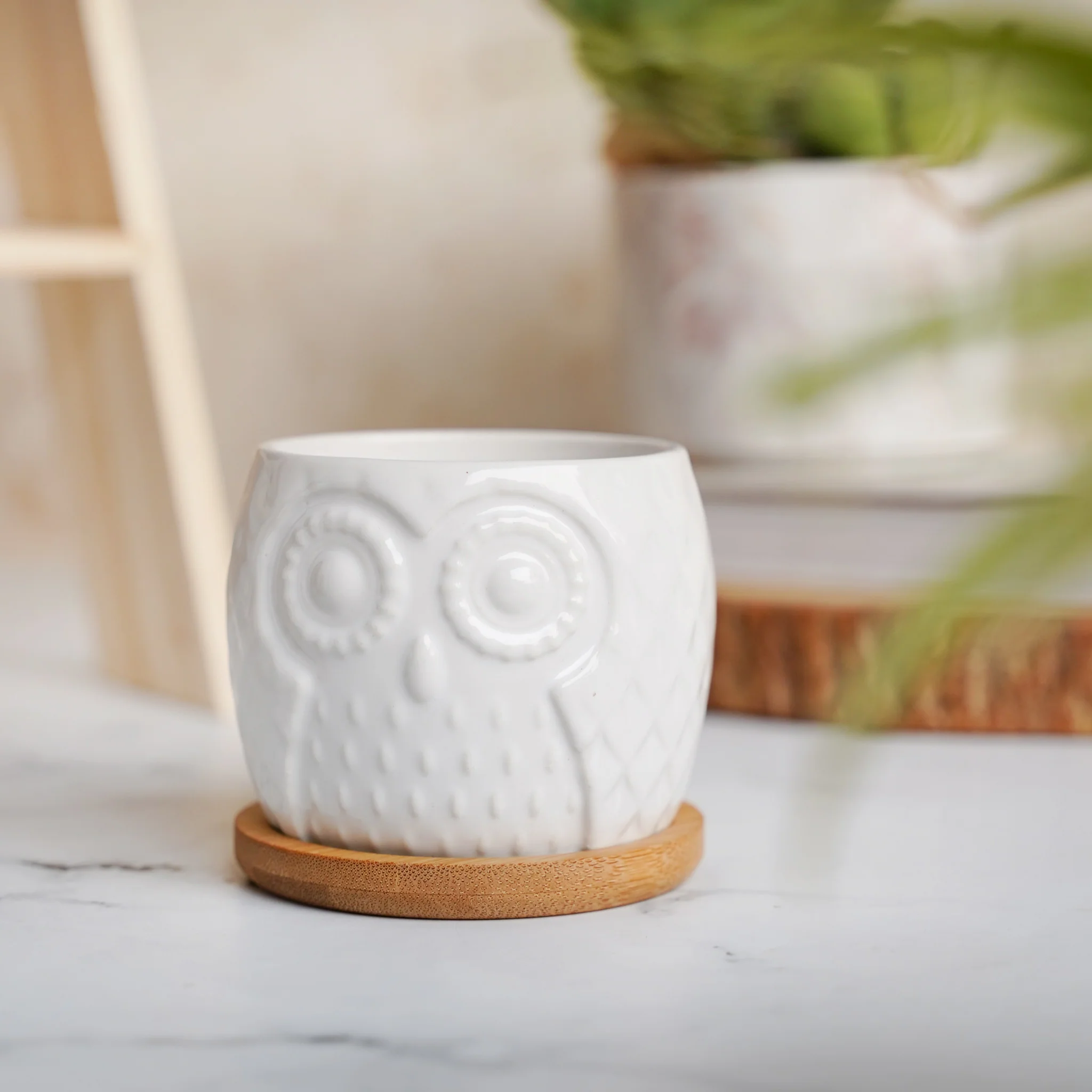 Owl Ceramic Pot - Image 12
