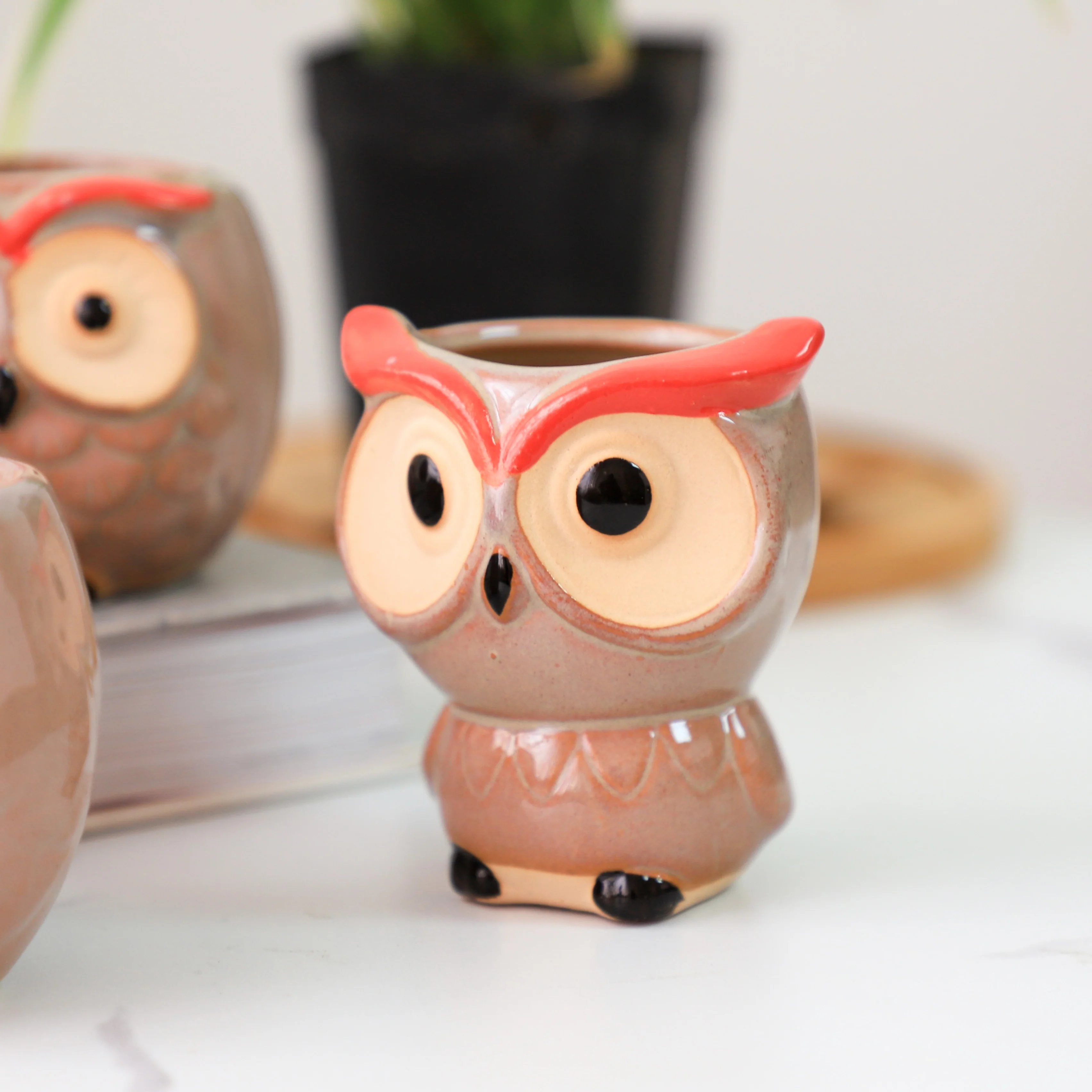 Owl Planter - Image 12