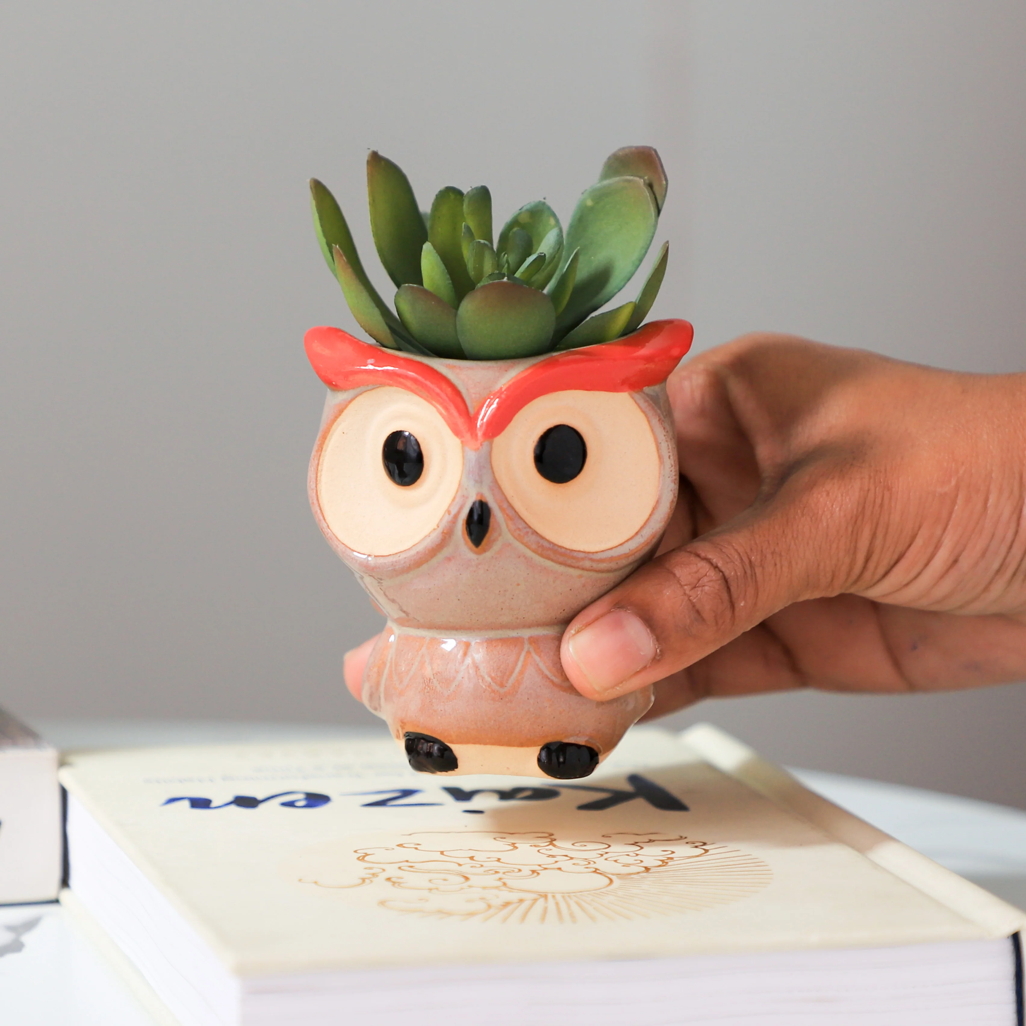 Owl Planter - Image 16