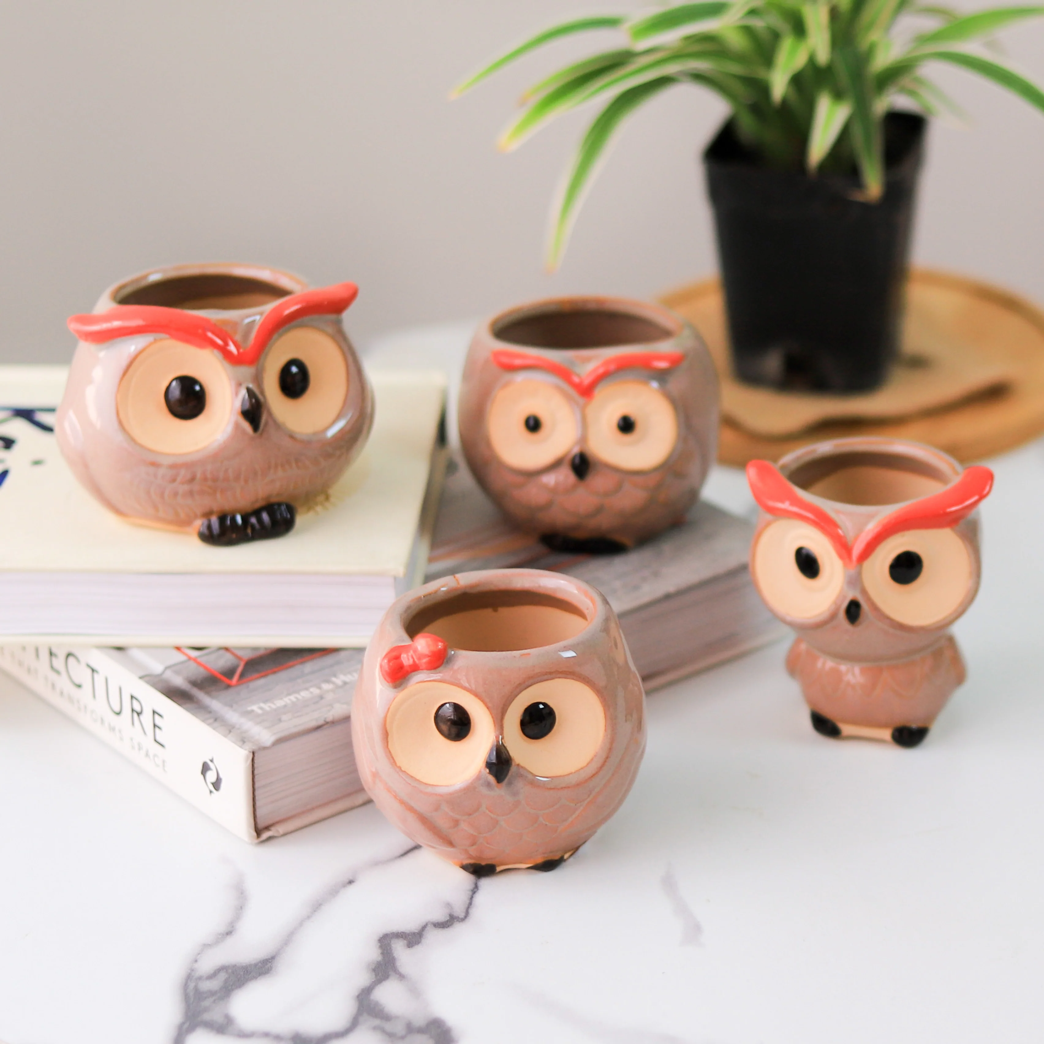 Owl Planter - Image 7