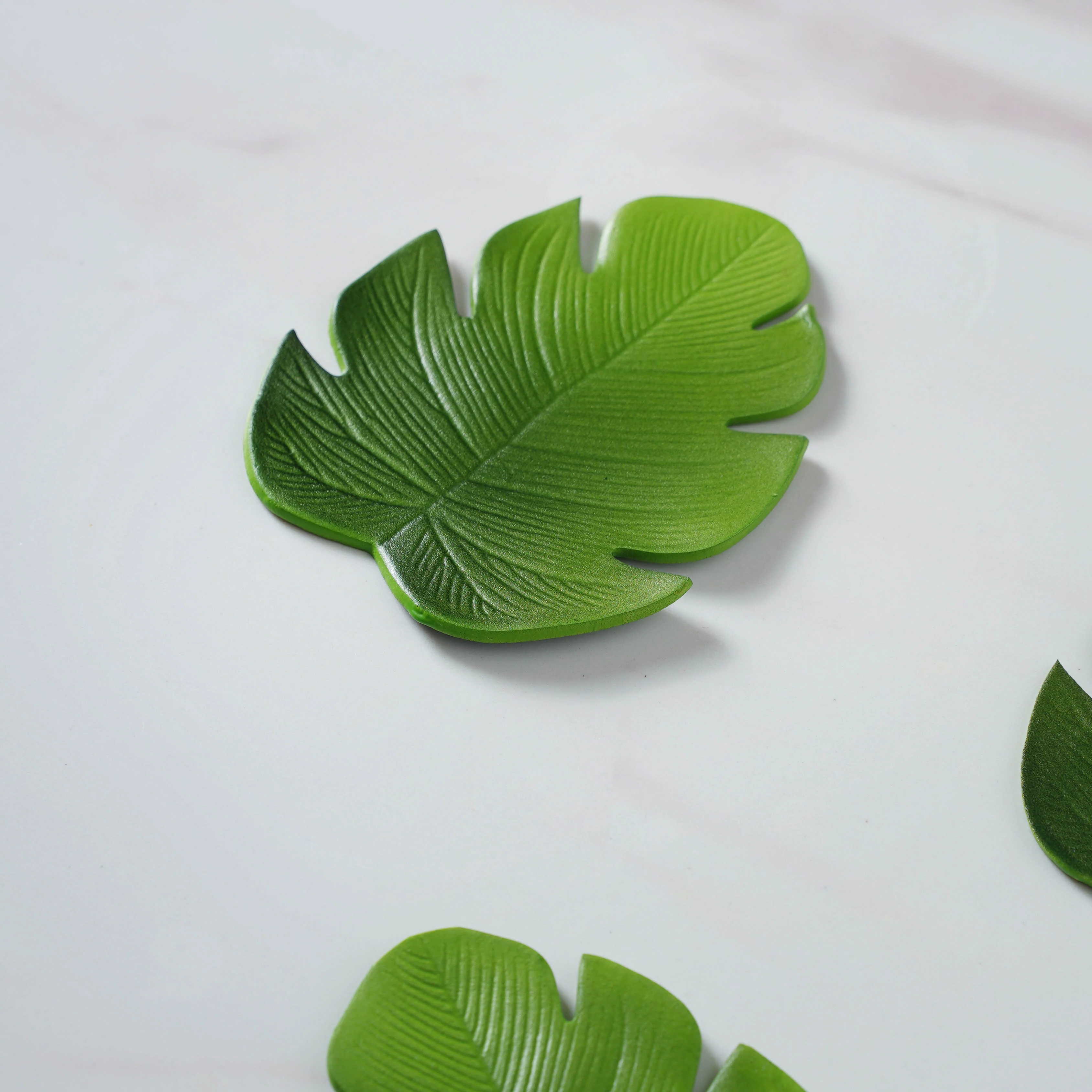 Palm Leaf Coaster Set of 6 - Image 6