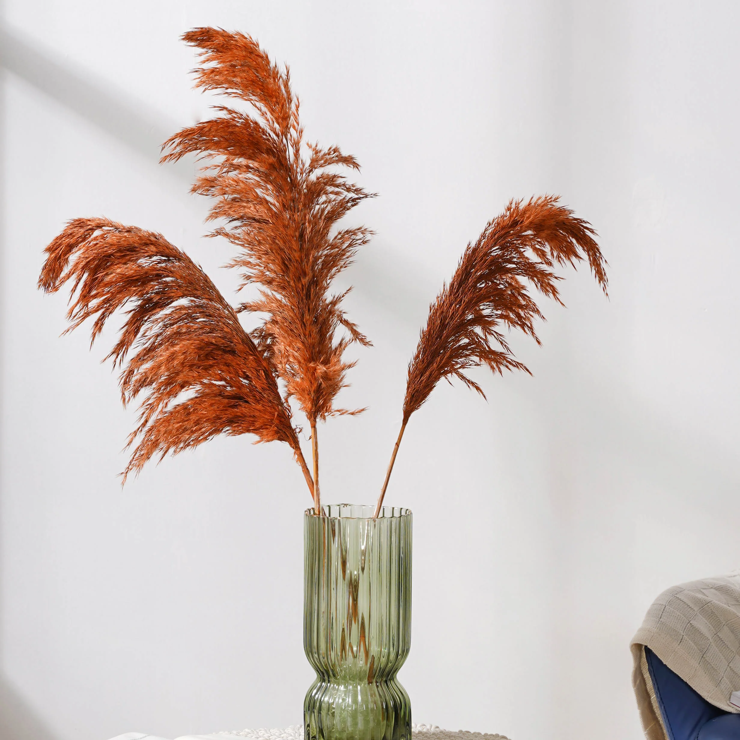 Pampas Grass For Vase - Image 3