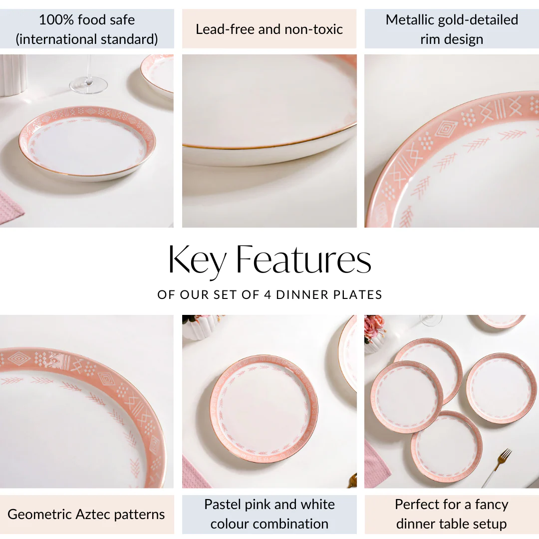 Pink Azo Dinner Plate Set Of 4 10 Inch - Image 4