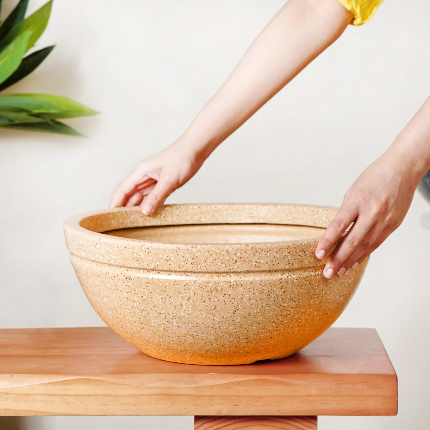 Planterra Beige Round Lotus Planter 15x9 Inch - Image 3