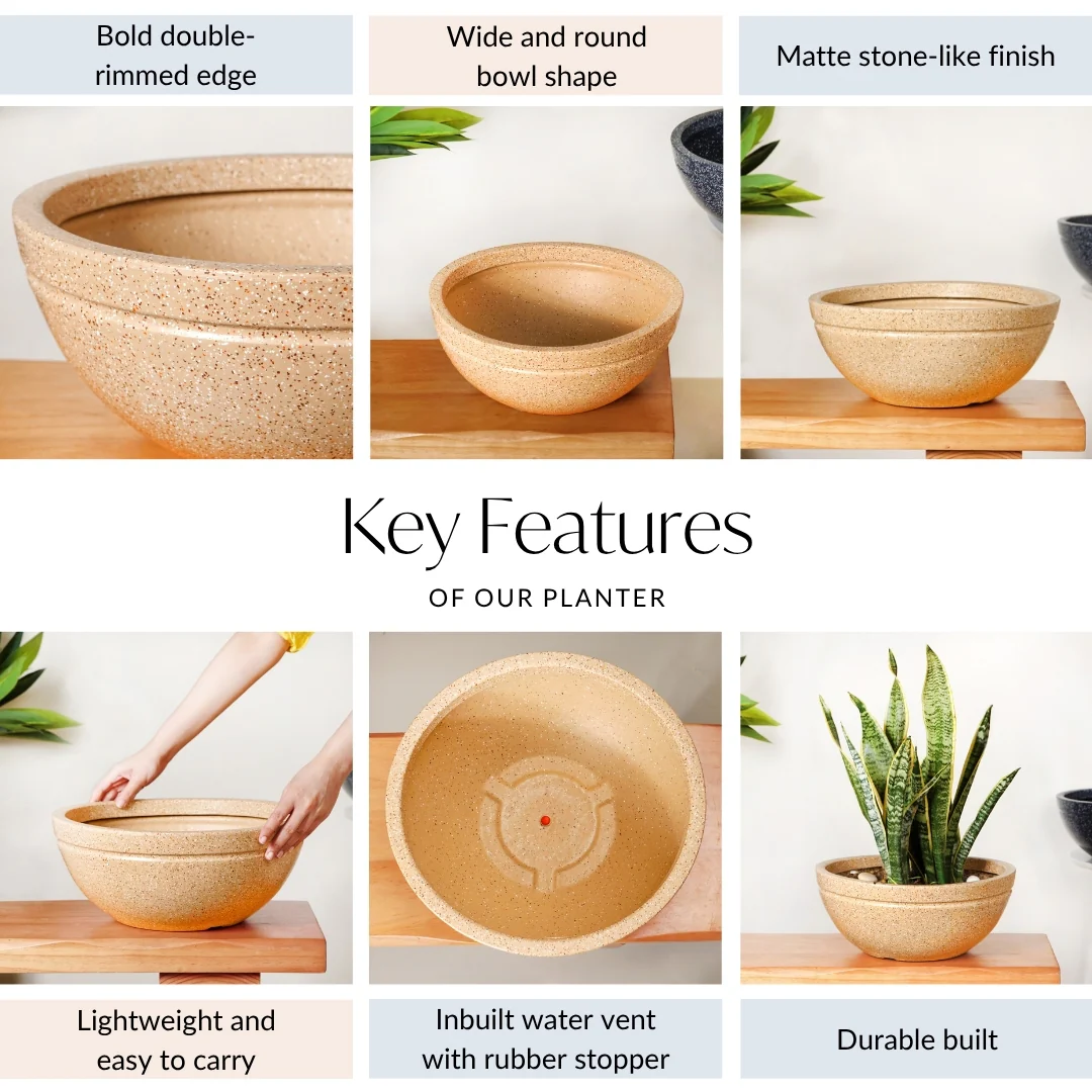 Planterra Beige Round Lotus Planter 15x9 Inch - Image 5