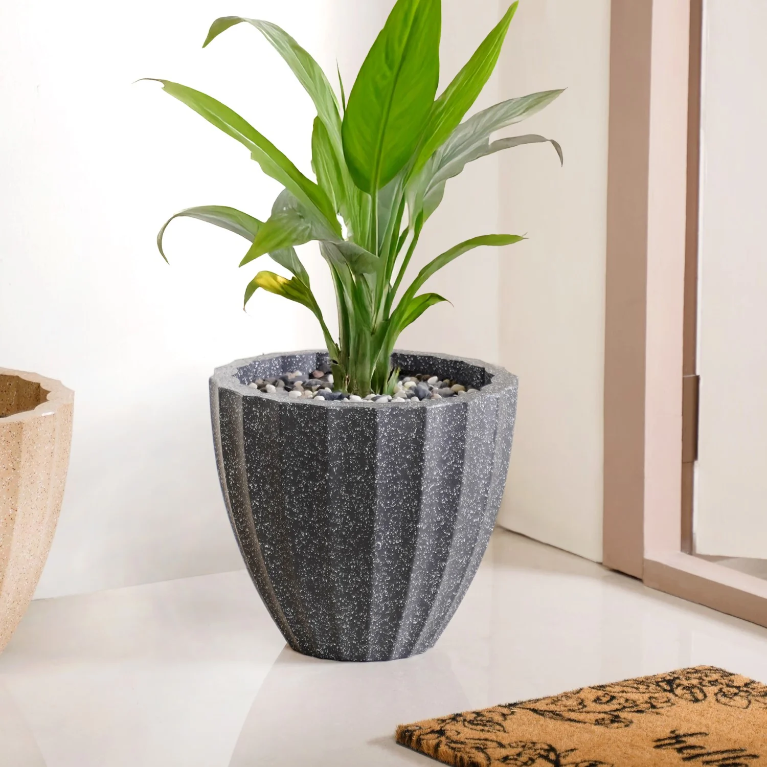 Planterra Ribbed Black Planting Pot 12x12 Inch