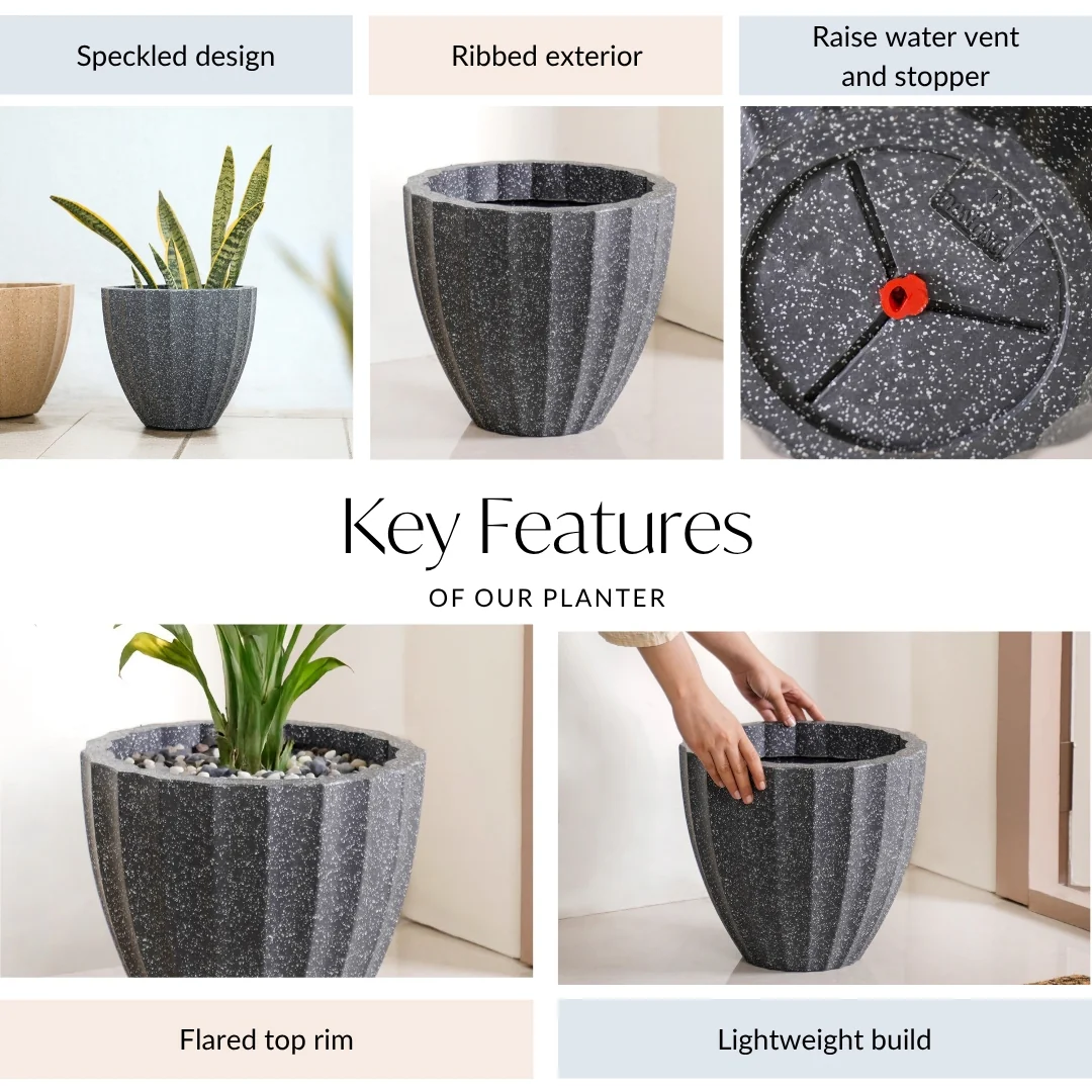 Planterra Ribbed Black Planting Pot 12x12 Inch - Image 5