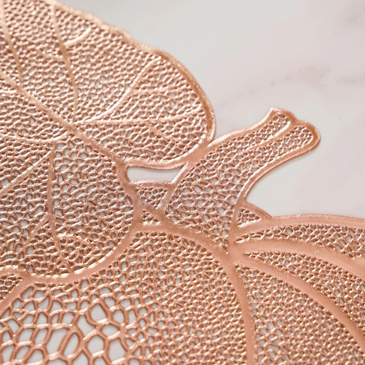 Pumpkin Rose Gold Tablemat Set Of 6 - Image 11