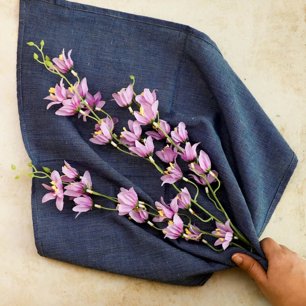Purple Jasmine - Image 5