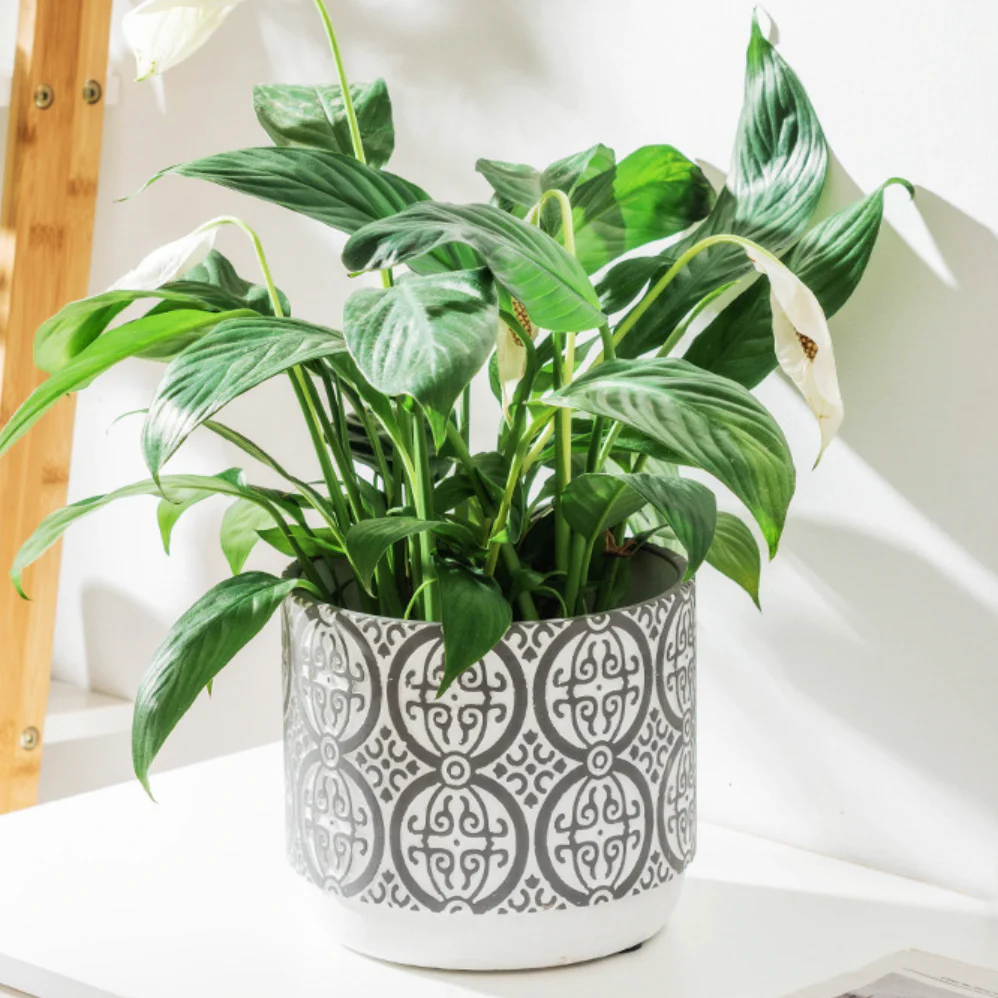 Round Pattern Pot Small - Image 8