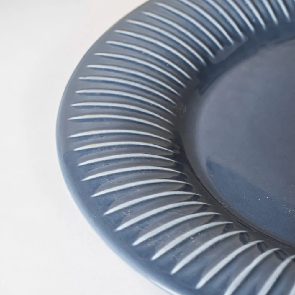 Royal Dinner Plate Greyish Blue Large 9.5 Inch - Image 6