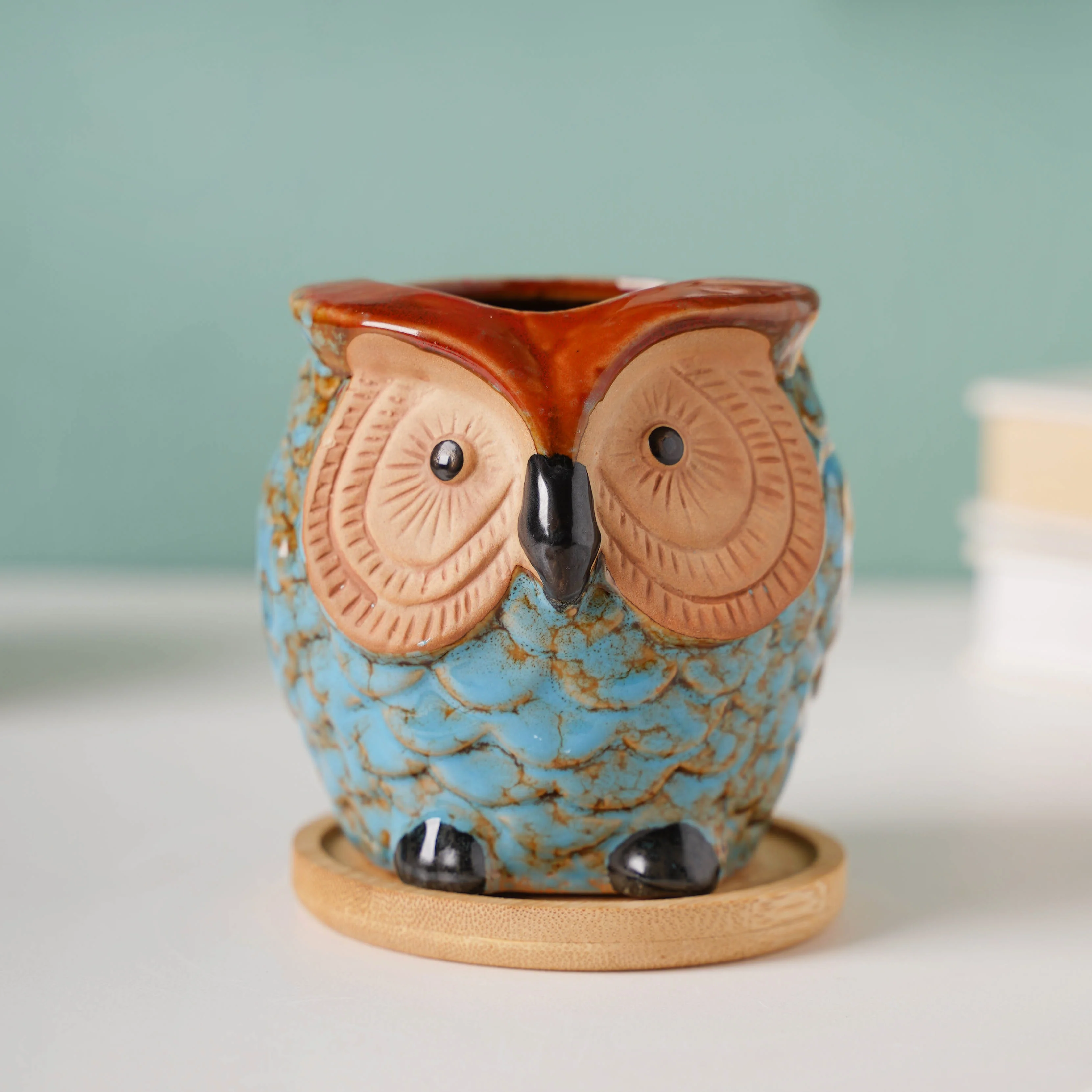 Seacrest Owl Blue Ceramic Planter With Wooden Coaster - Image 13