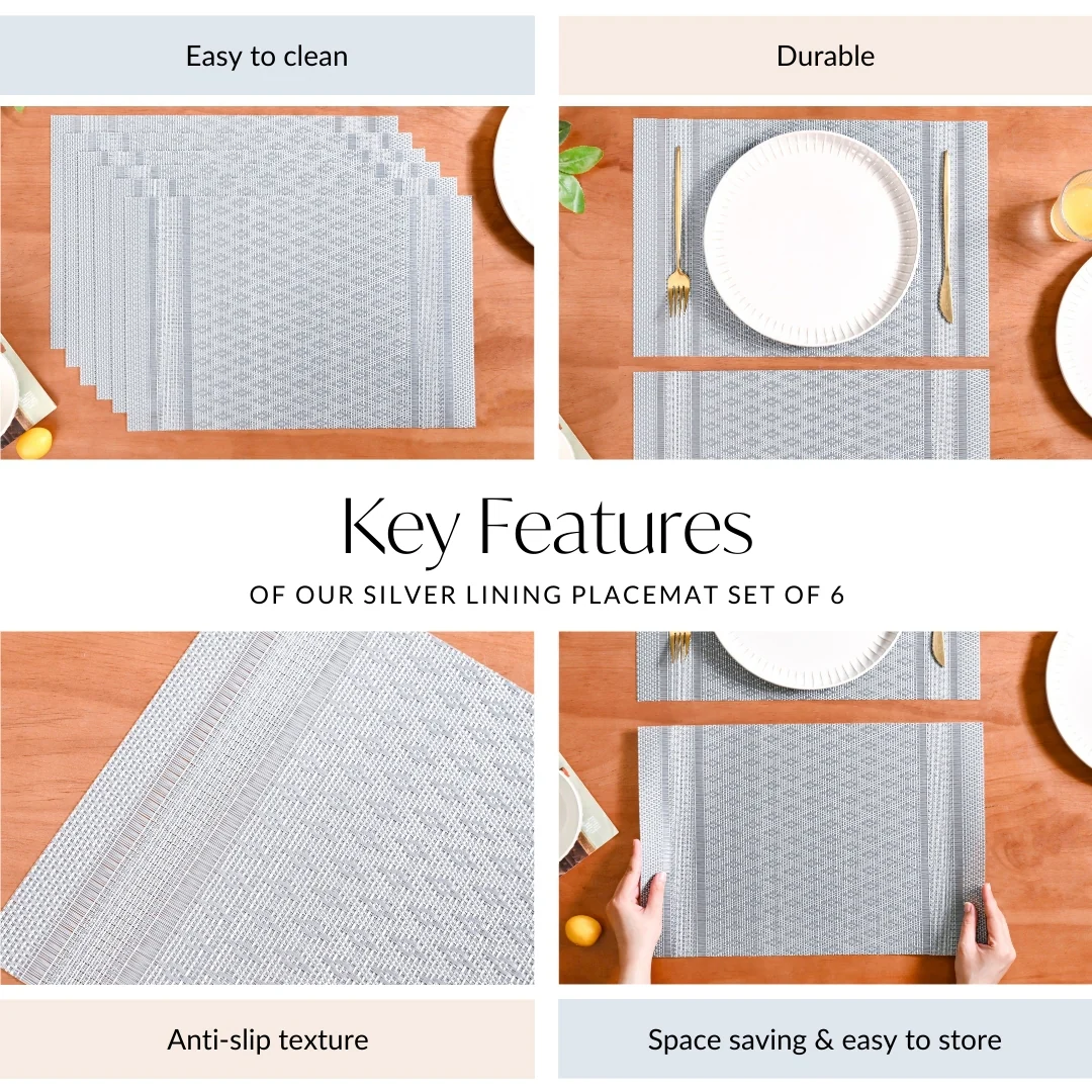 Silver Lining Placemat Set Of 6 - Image 5