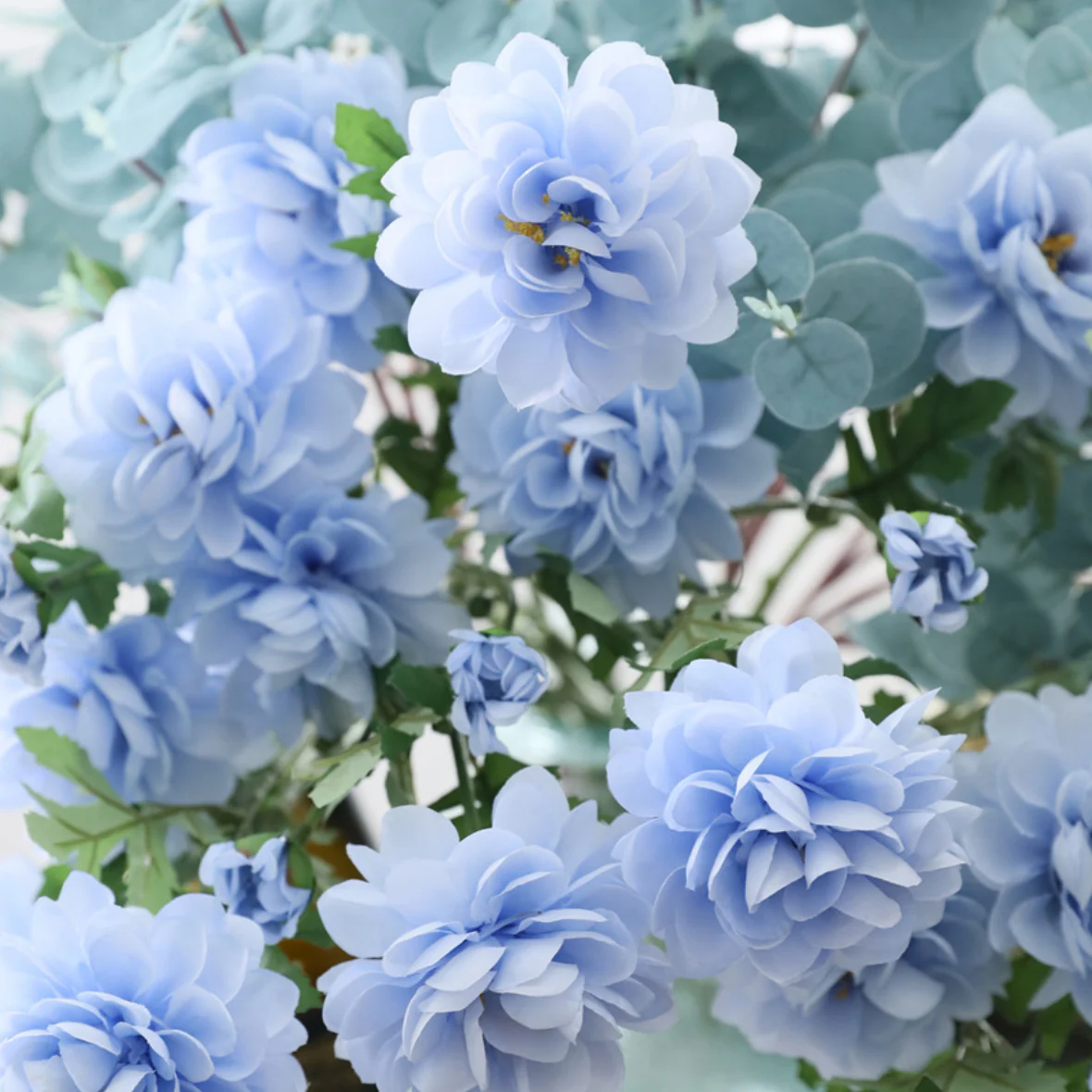 Snow Lotus - Image 11