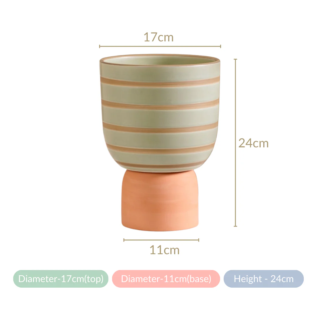 Striped Terra Ceramic Flower Pot Green - Image 6