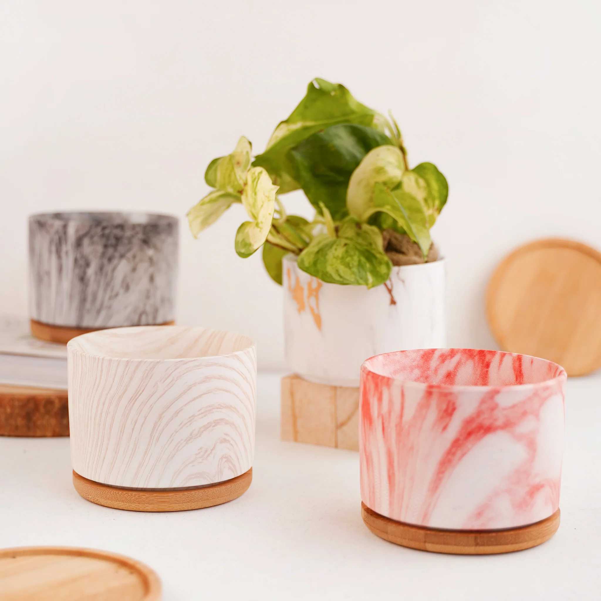 Succulent Plant Pot