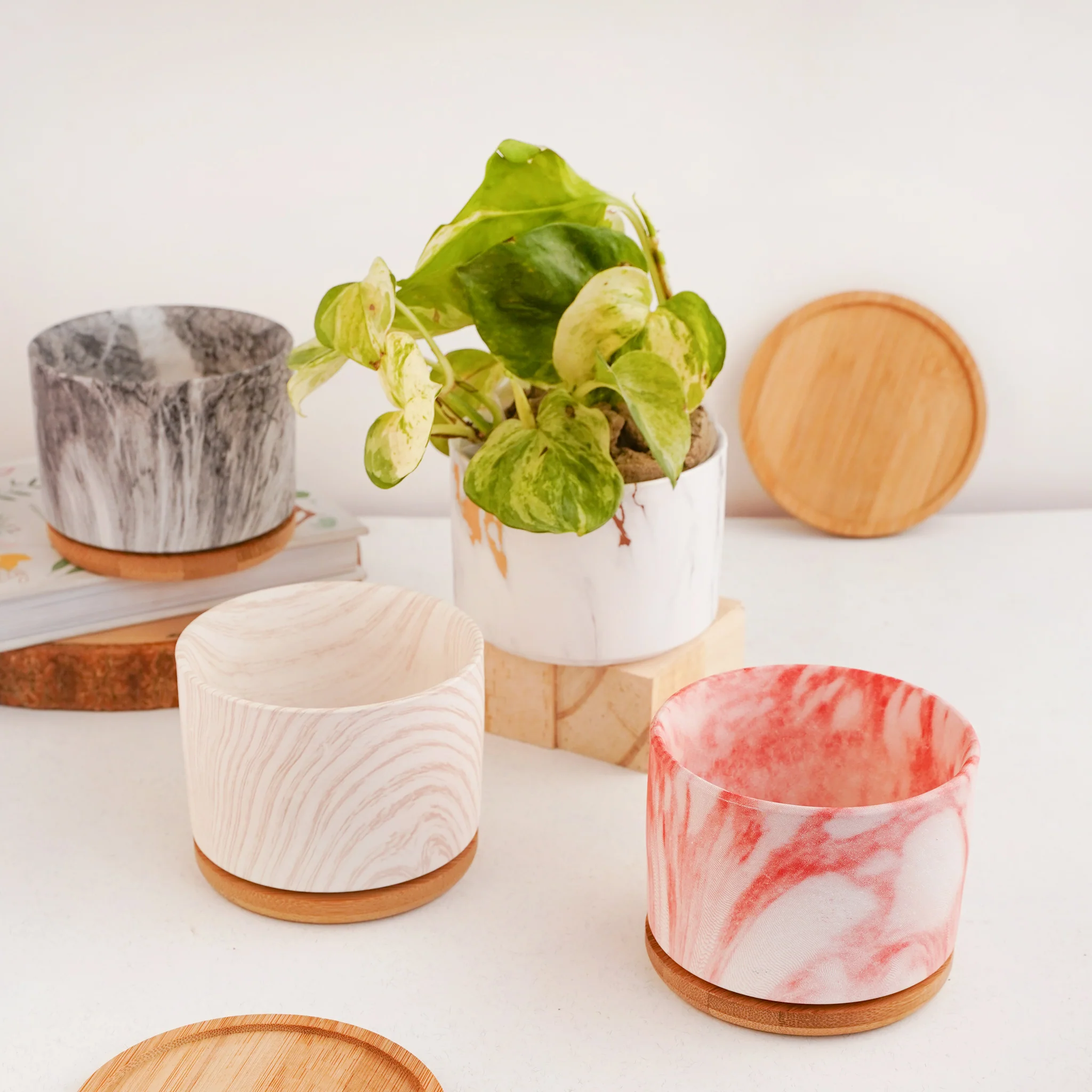 Succulent Plant Pot - Image 2