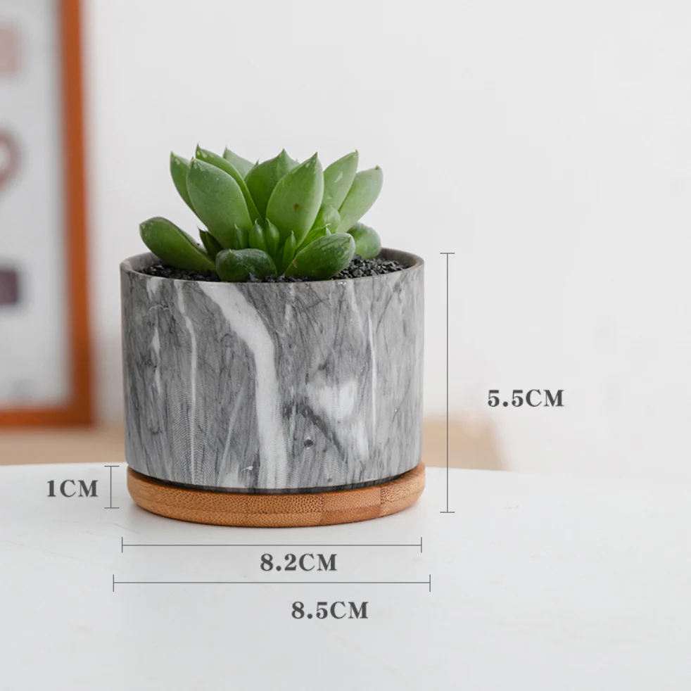 Succulent Plant Pot - Image 21