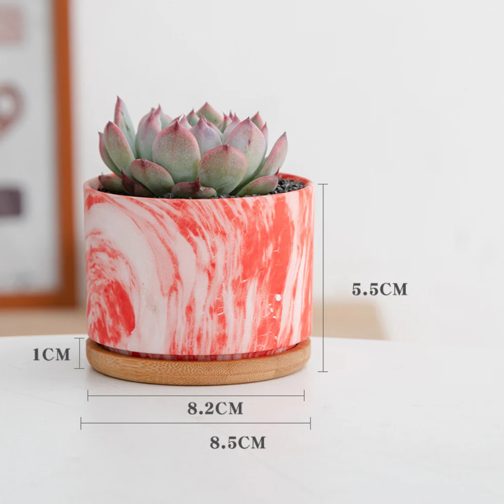 Succulent Plant Pot - Image 23