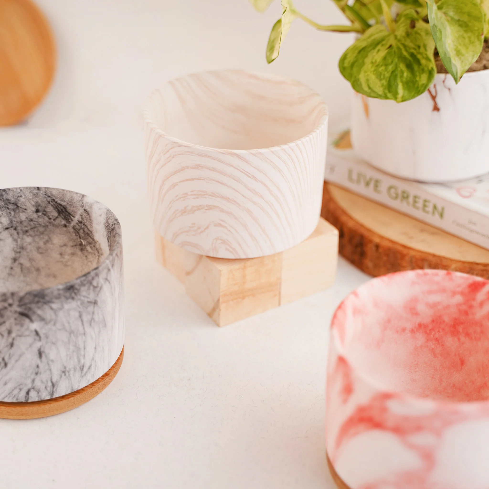 Succulent Plant Pot - Image 3