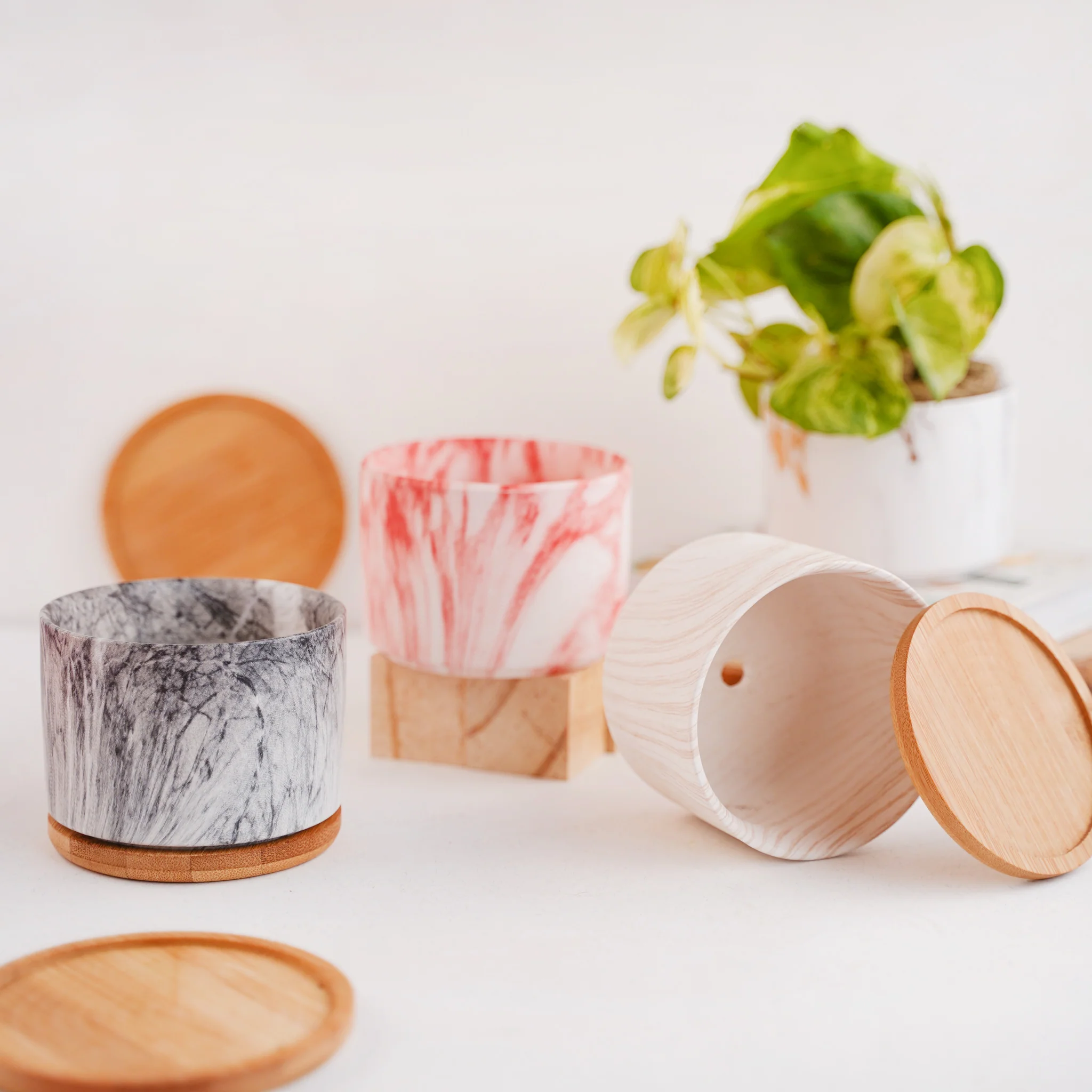 Succulent Plant Pot - Image 4
