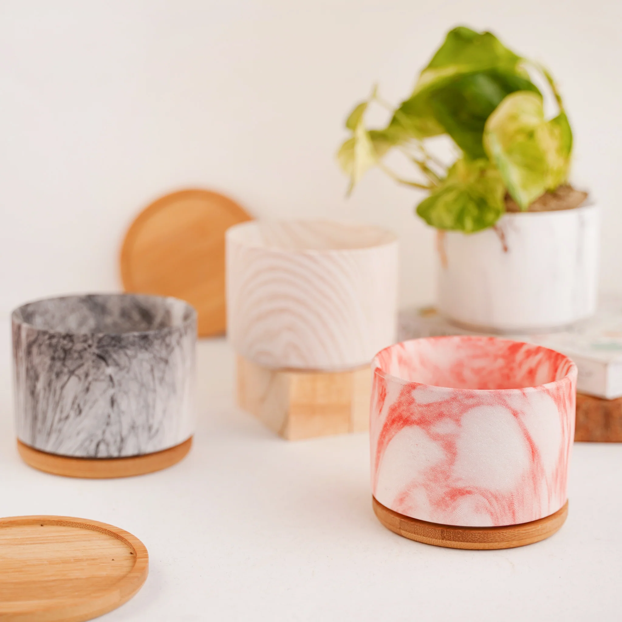 Succulent Plant Pot - Image 5