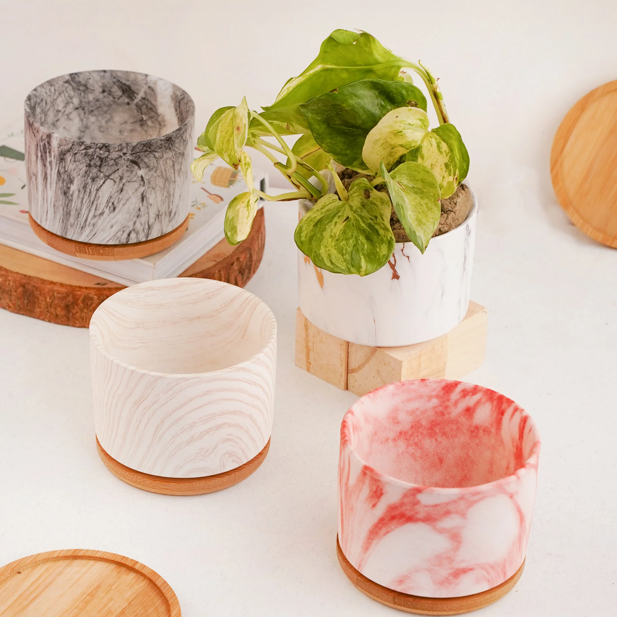 Succulent Plant Pot - Image 6