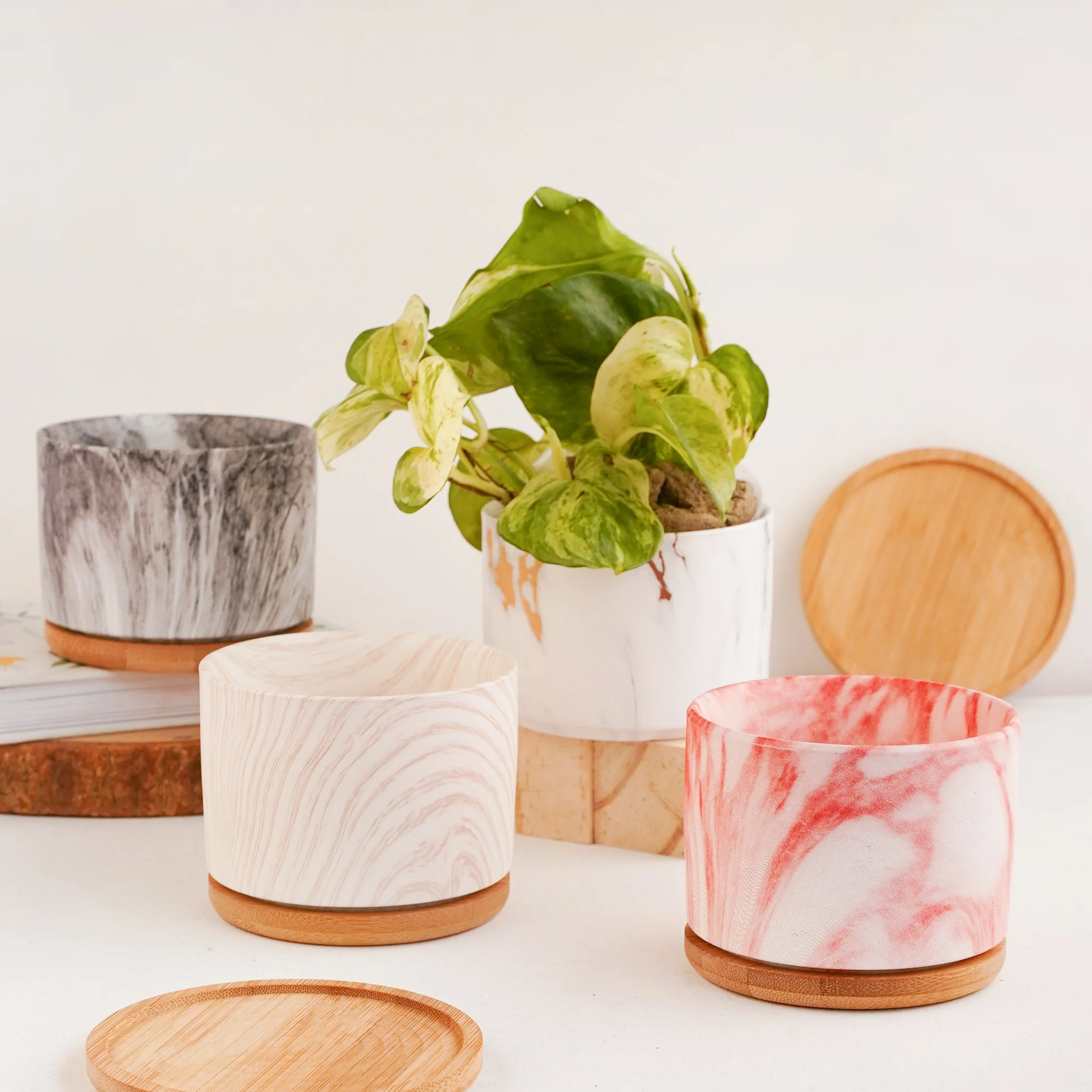 Succulent Plant Pot - Image 8