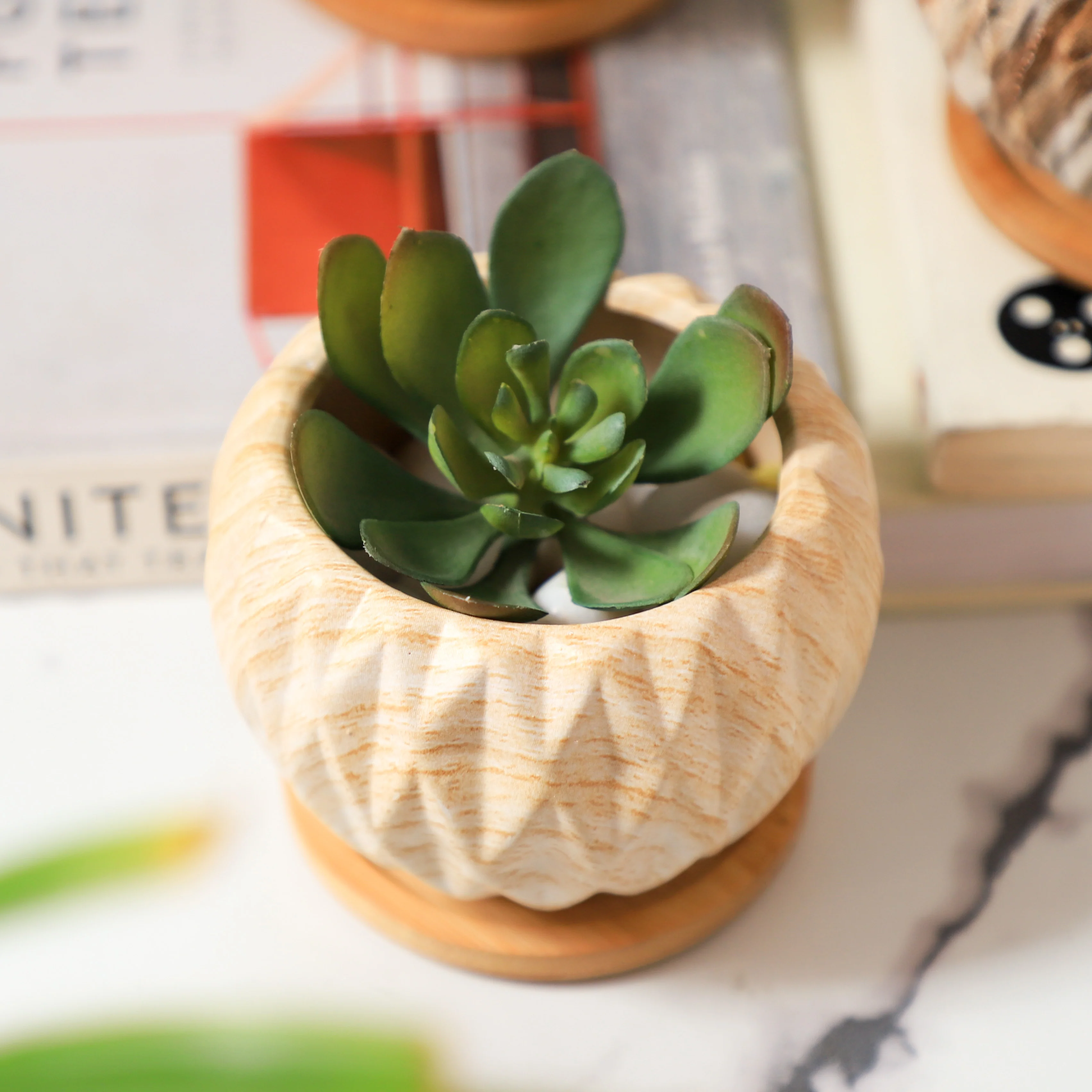 Succulent Planter - Image 11