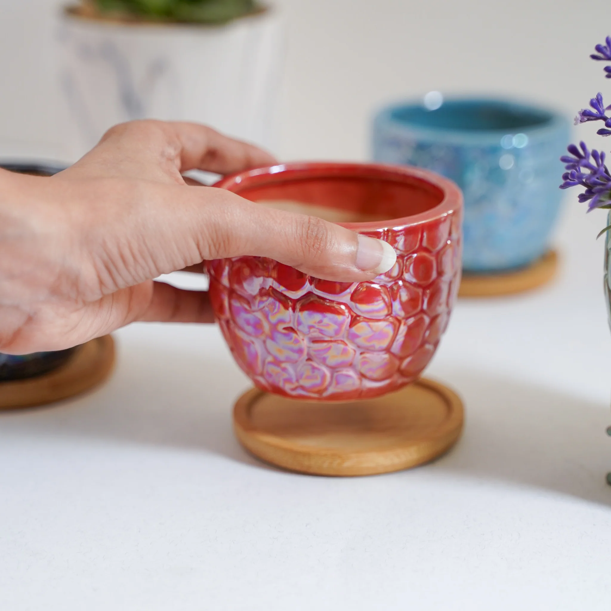 Succulent Pots - Image 10