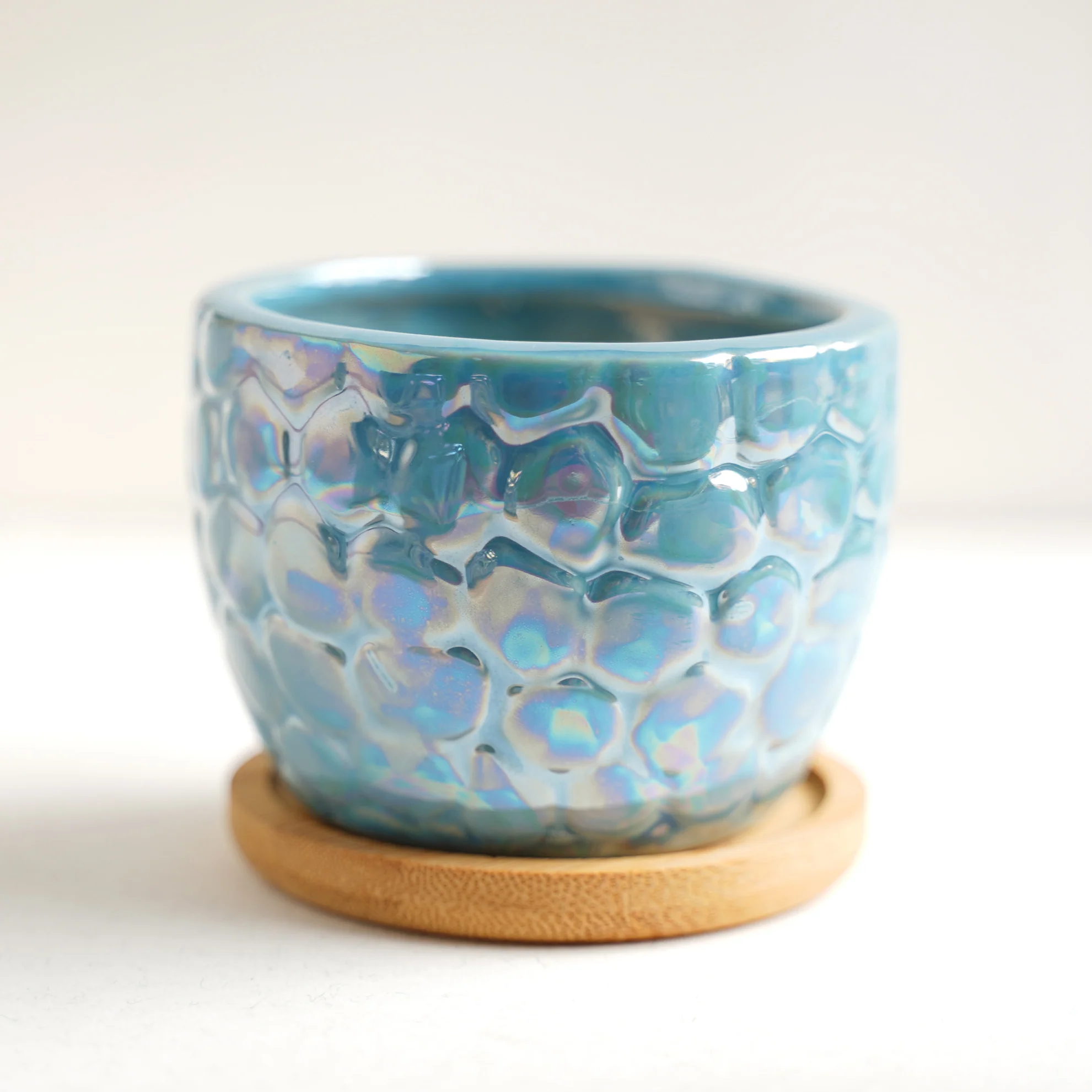 Succulent Pots - Image 13