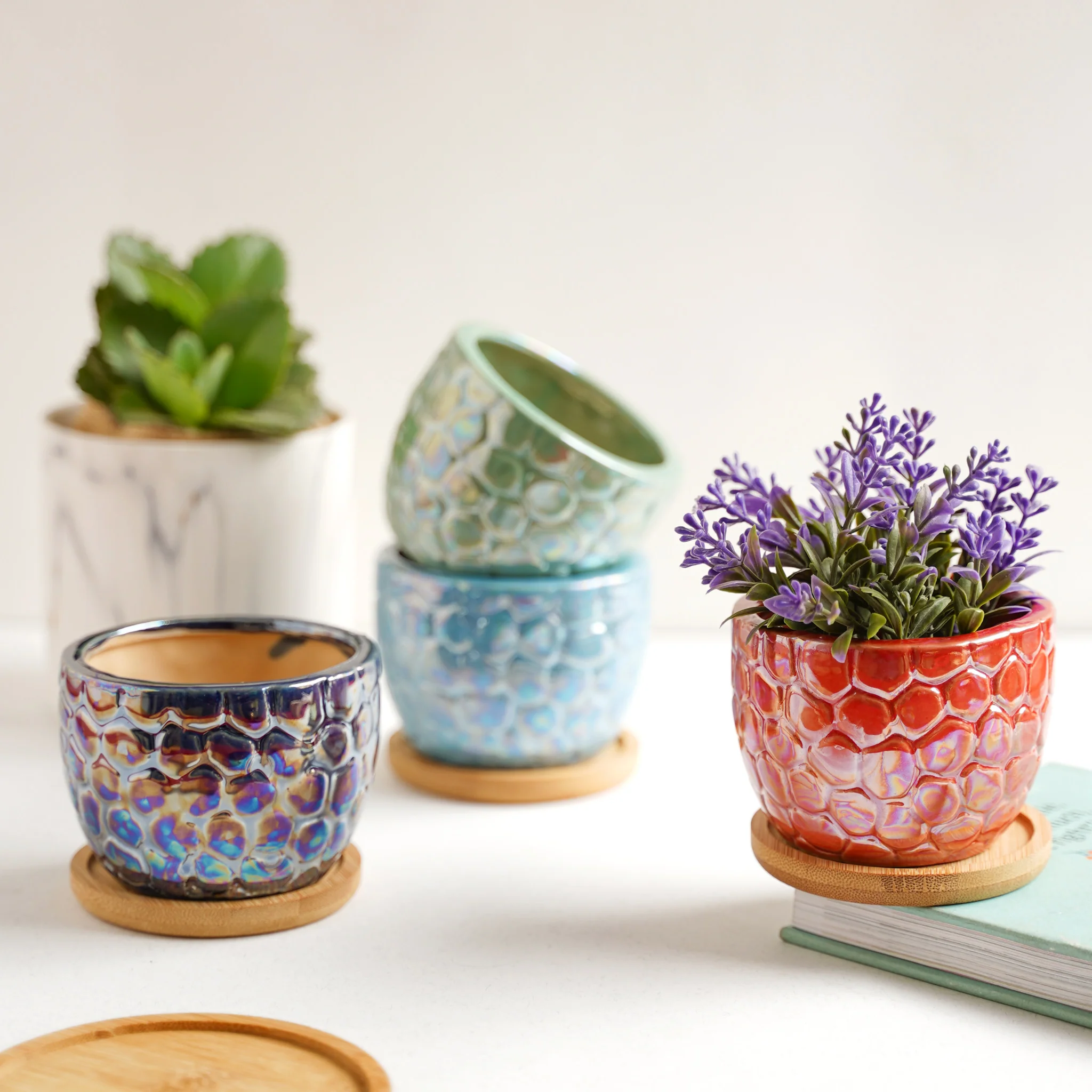Succulent Pots - Image 2