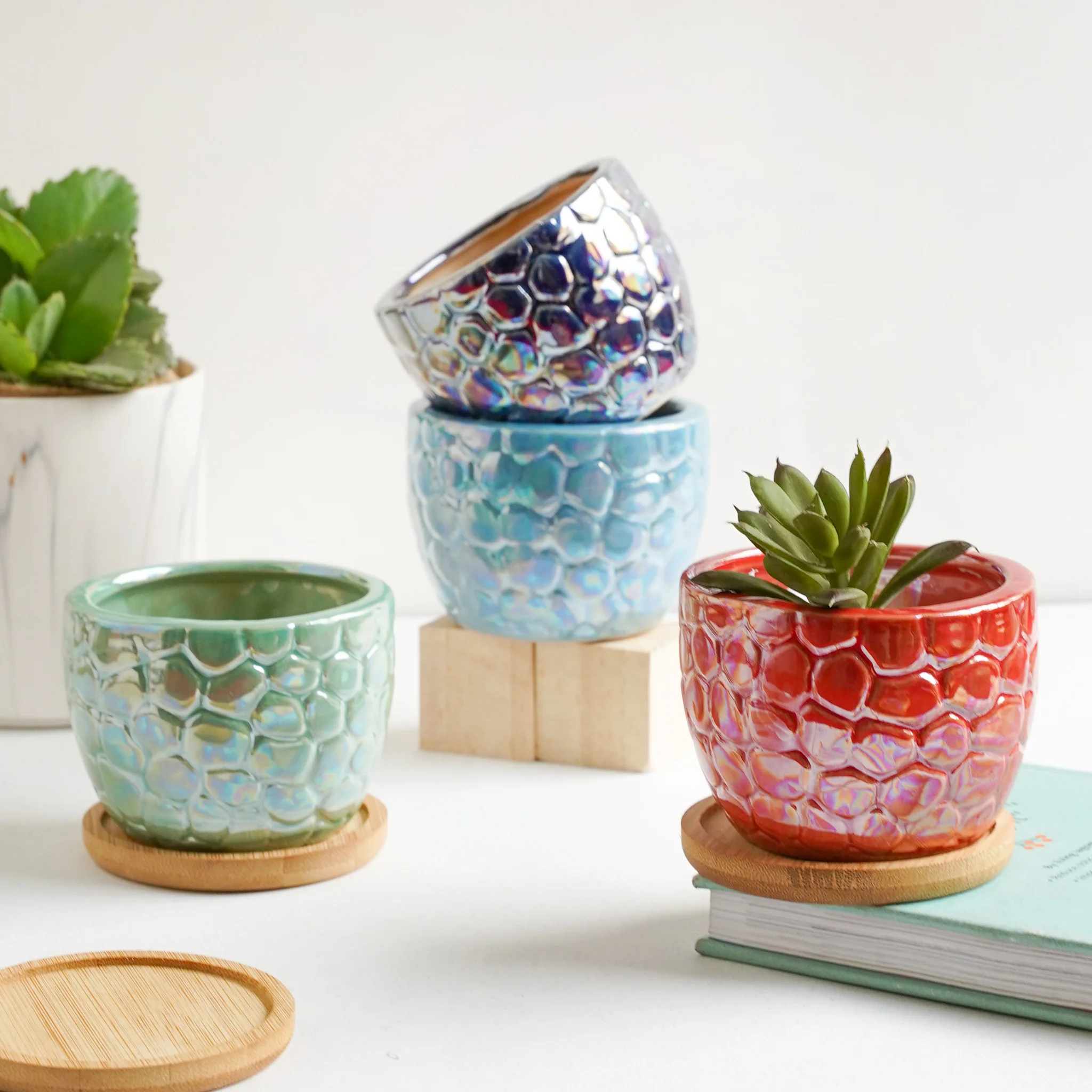 Succulent Pots - Image 5