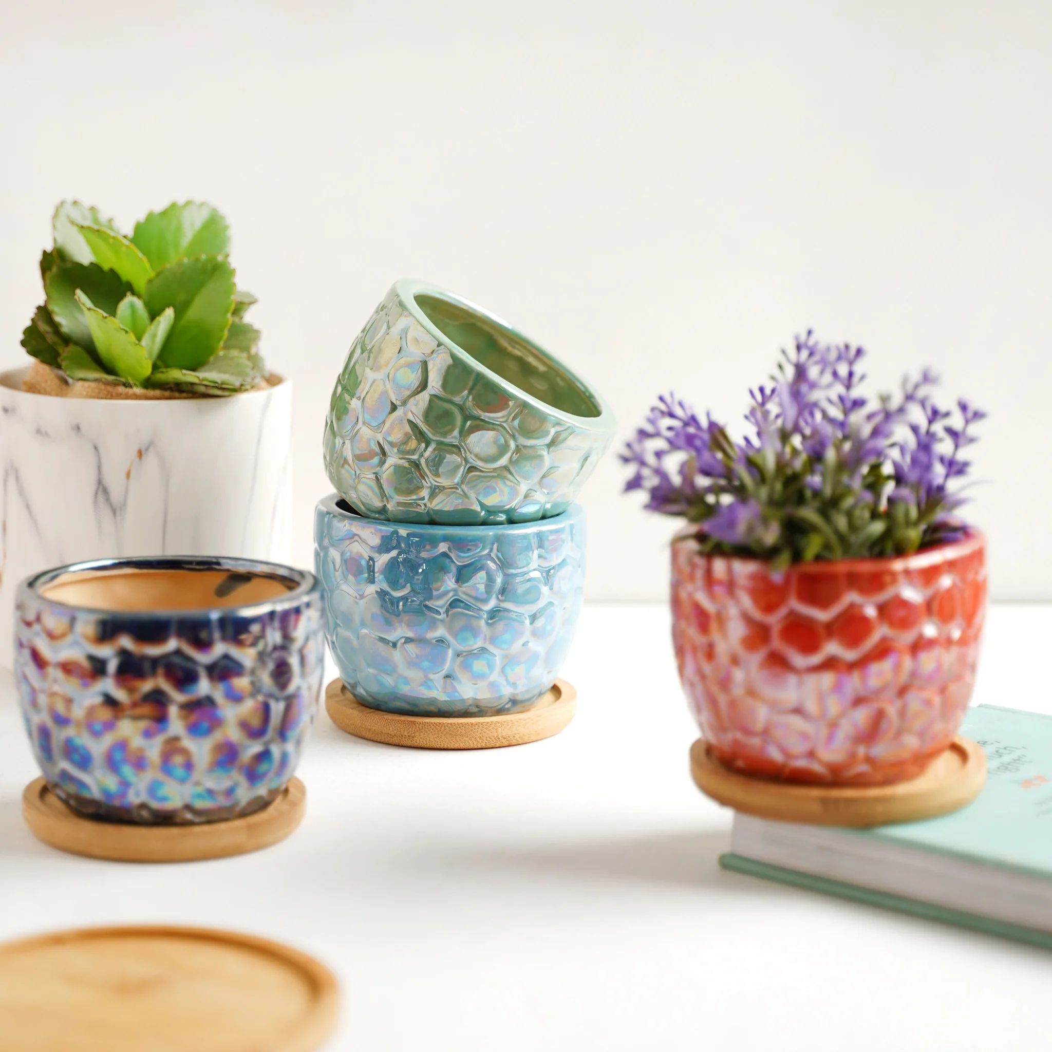 Succulent Pots - Image 8