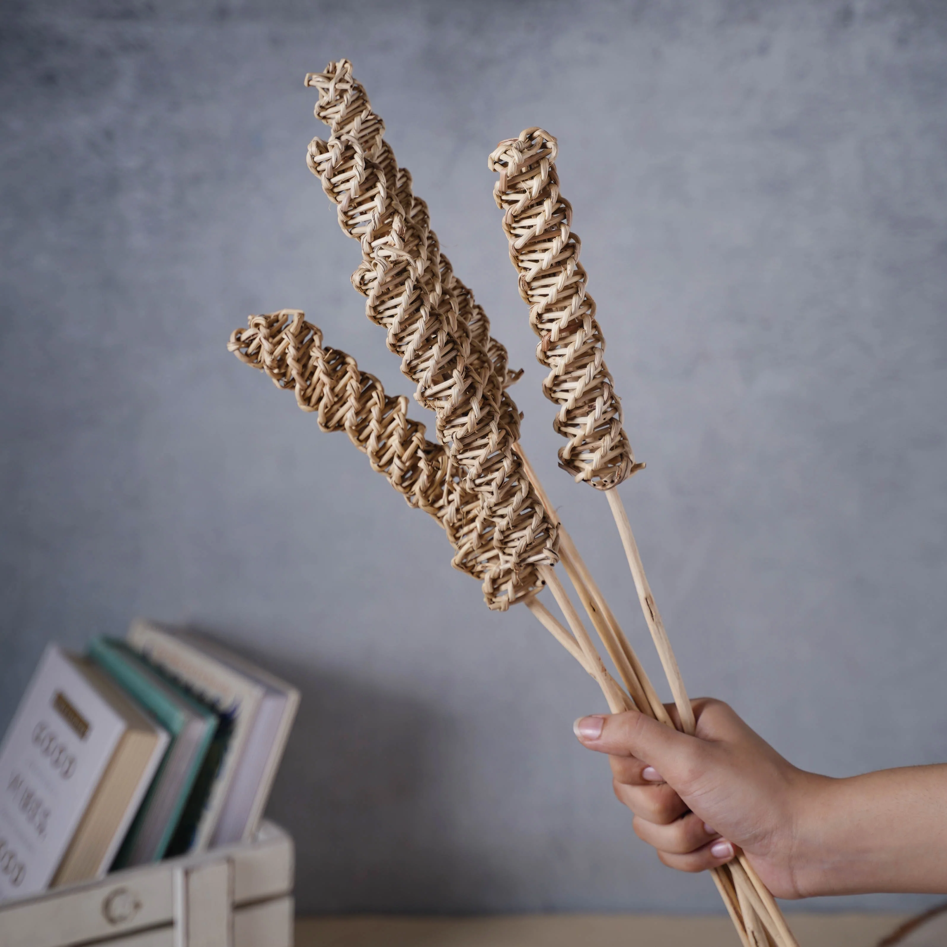 Tall Decorative Sticks - Image 2