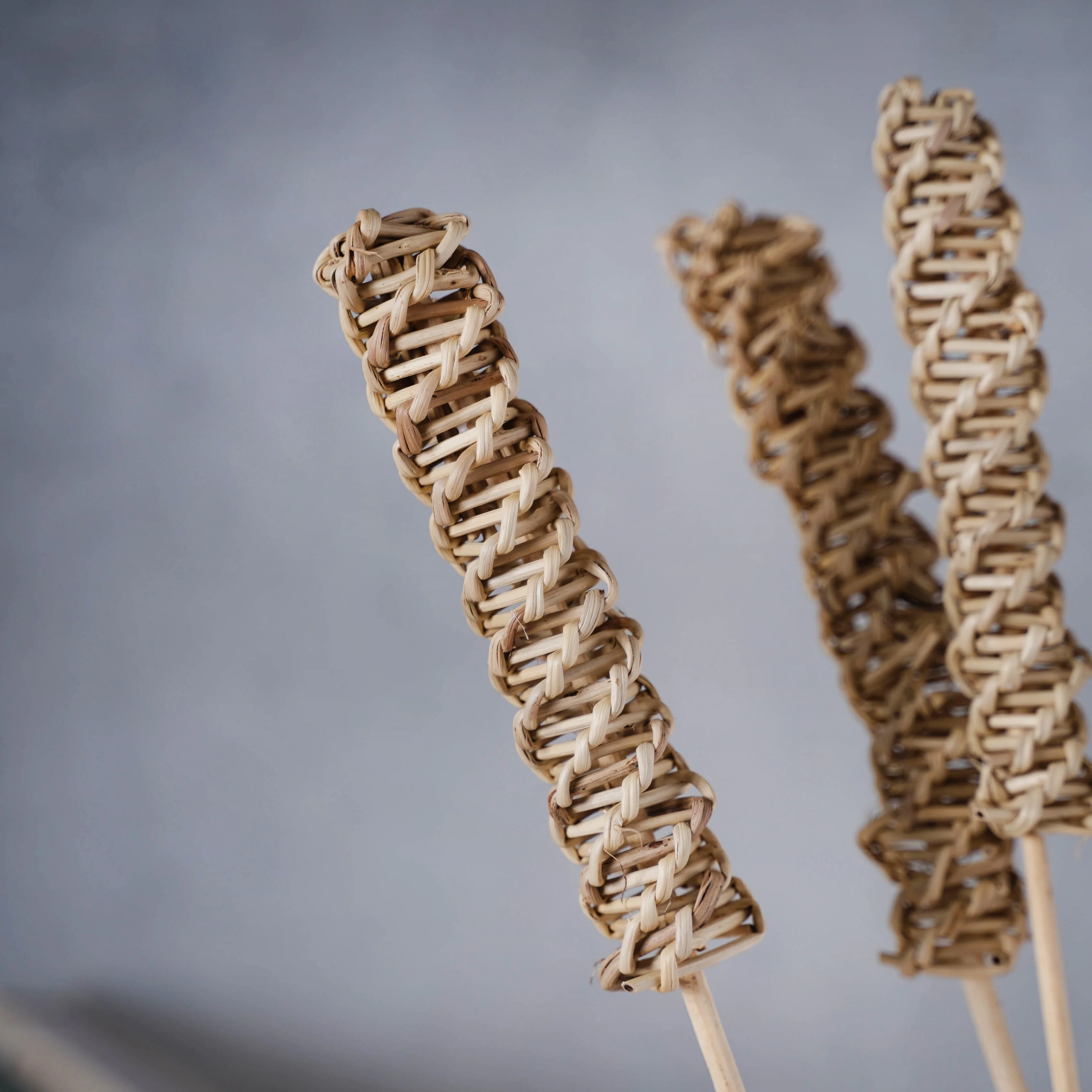 Tall Decorative Sticks - Image 3