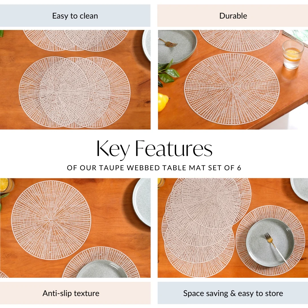 Taupe Webbed Table Mat Set Of 6 - Image 5