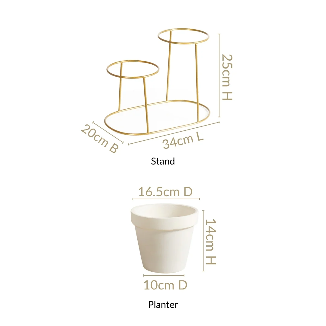 TerraDuo Modern Two Tier Gold Stand With White Planters - Image 3