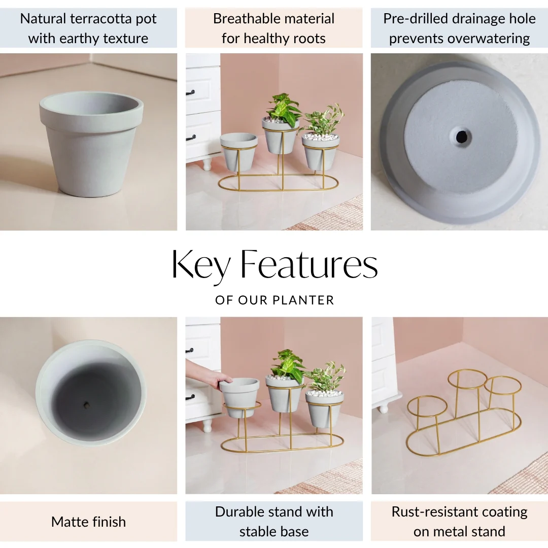 TerraTier Indoor Planter With Stand Grey - Image 4