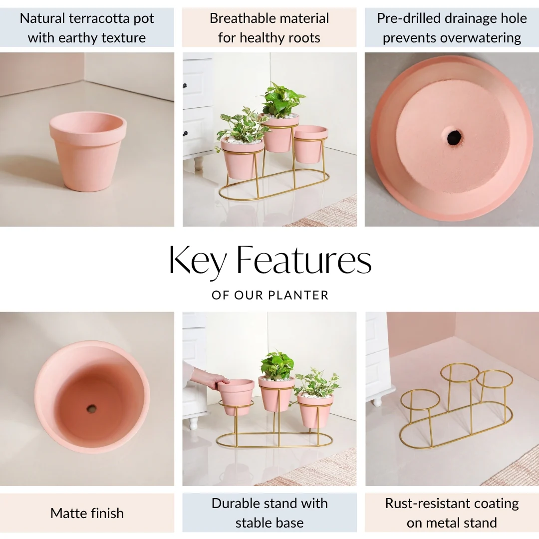 TerraTier Three In One Planter Set With Stand Pink - Image 5