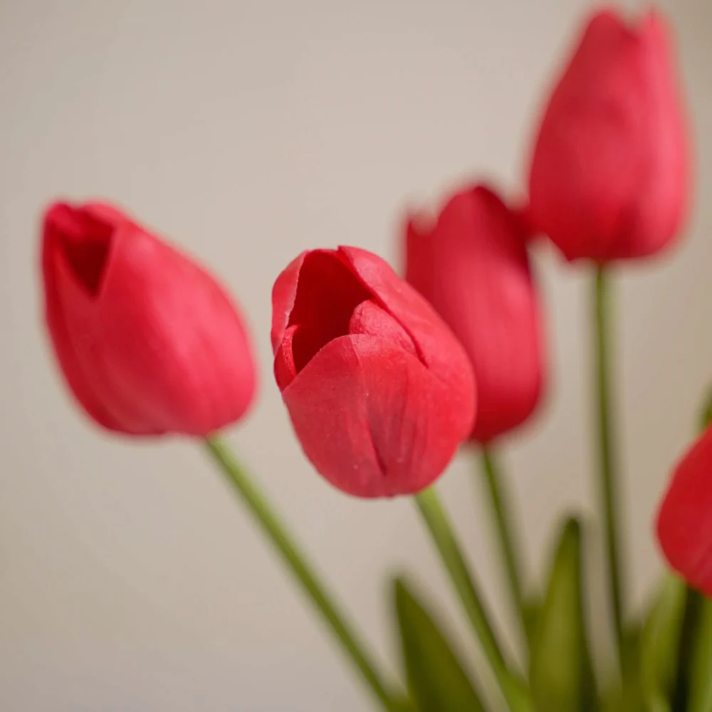 Tulip Flower Red Set Of 9 - Image 4