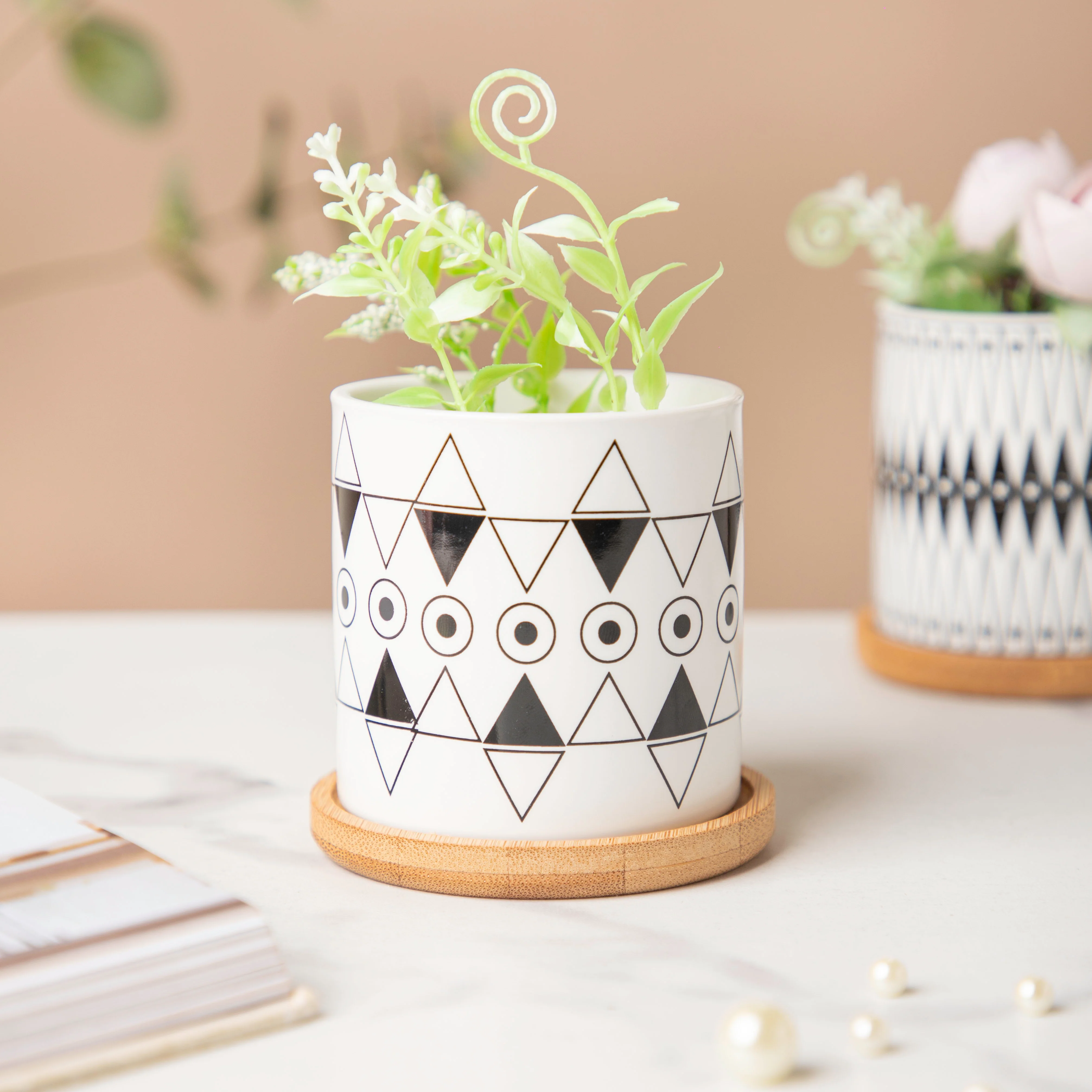 Twyla Enchanting Black White Planter With Wooden Coaster - Image 3